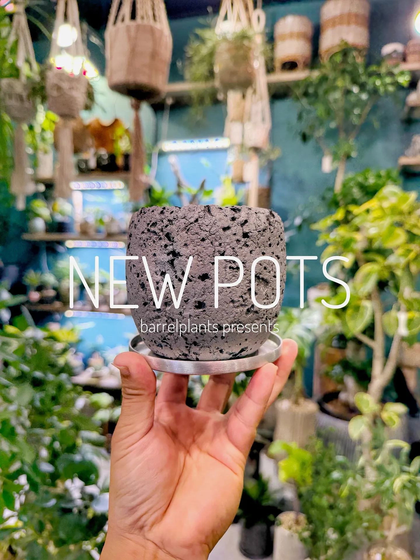 【植物専門店barrelplantsのオススメする鉢達入荷‼...