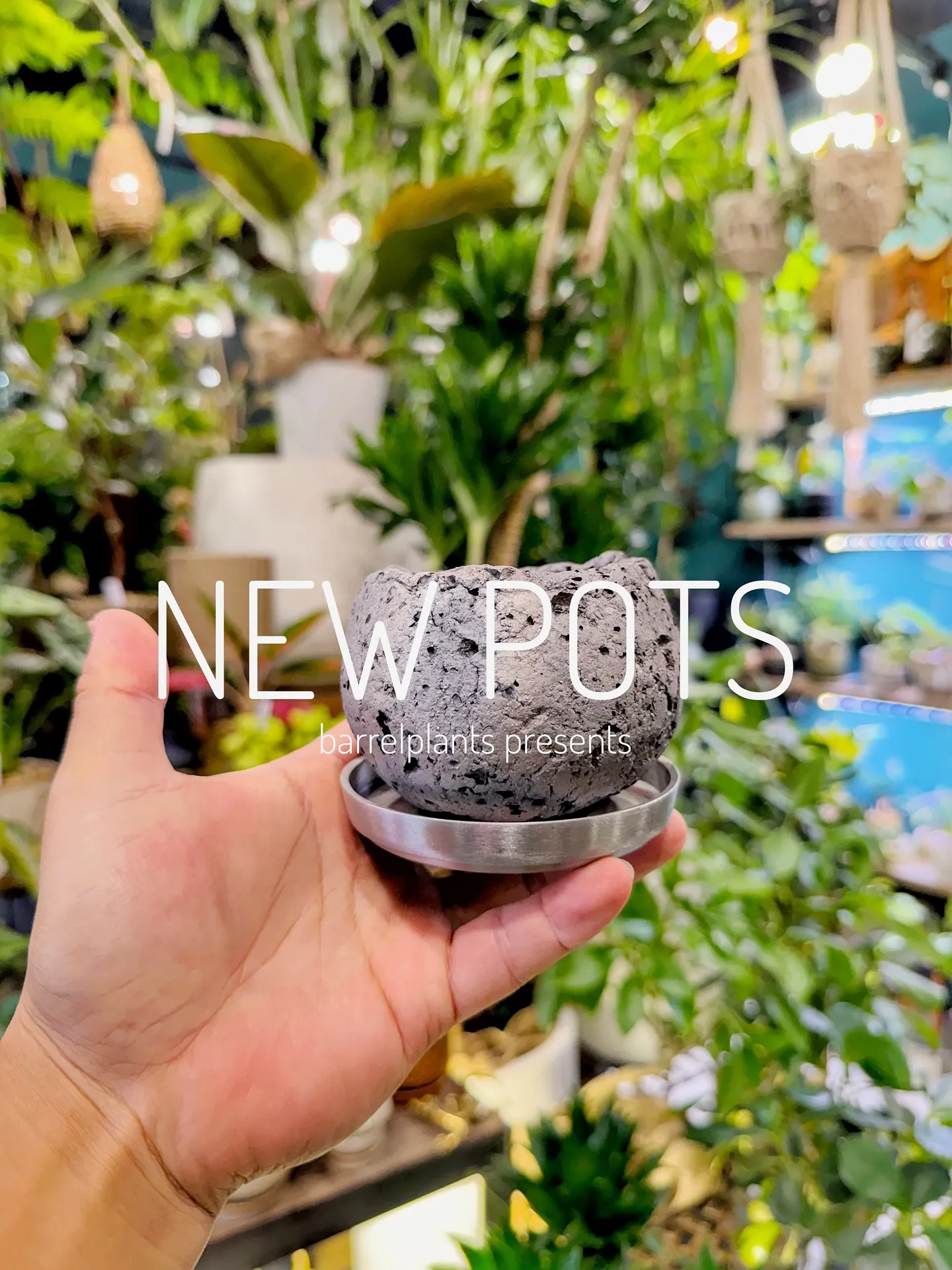 【植物専門店barrelplantsのオススメする鉢達入荷‼...