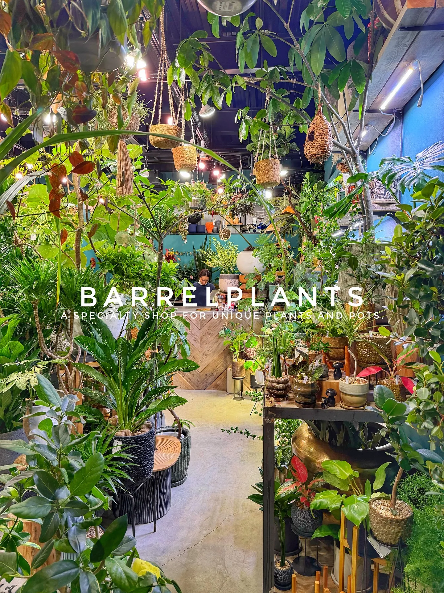 【売り場大移動！植物専門店でこだわりの植物と鉢が充実ラインナ...