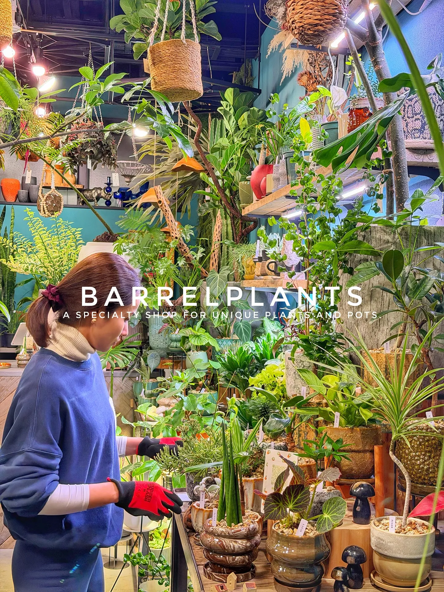 【売り場大移動!植物専門店でこだわりの植物と鉢が充実ラインナ...