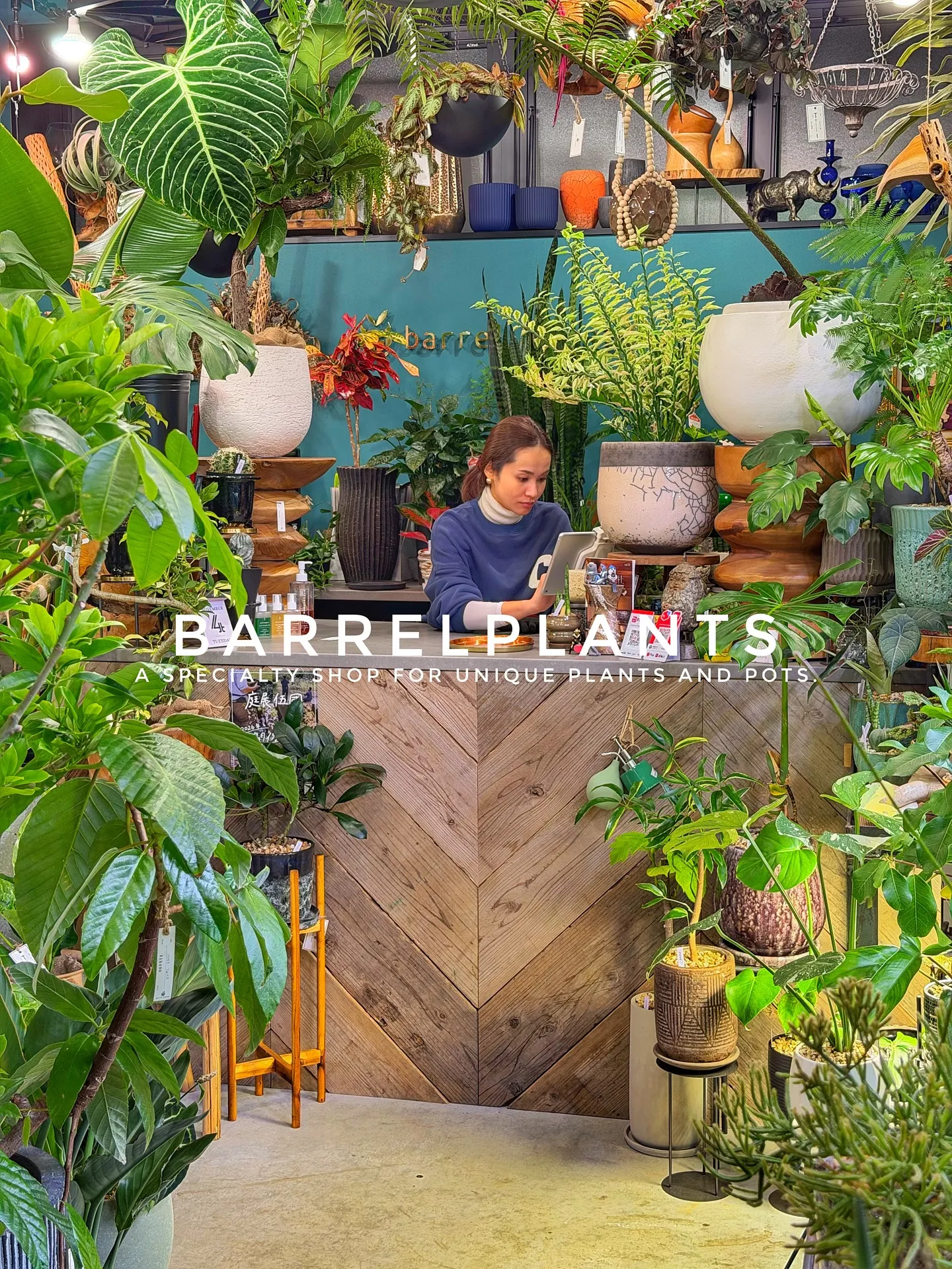 【売り場大移動!植物専門店でこだわりの植物と鉢が充実ラインナ...