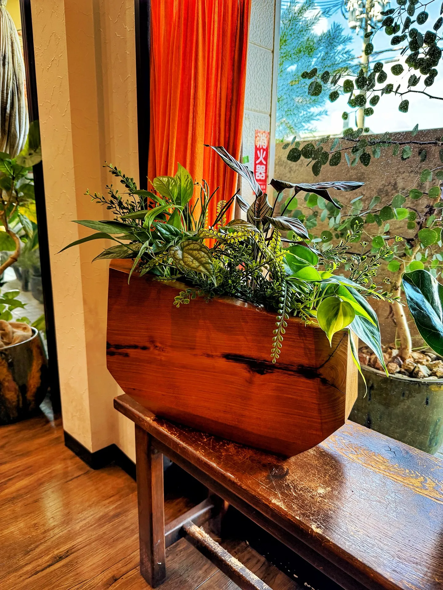 【仕入れた植物たちをすこーしご紹介♪植物専門店barrelp...