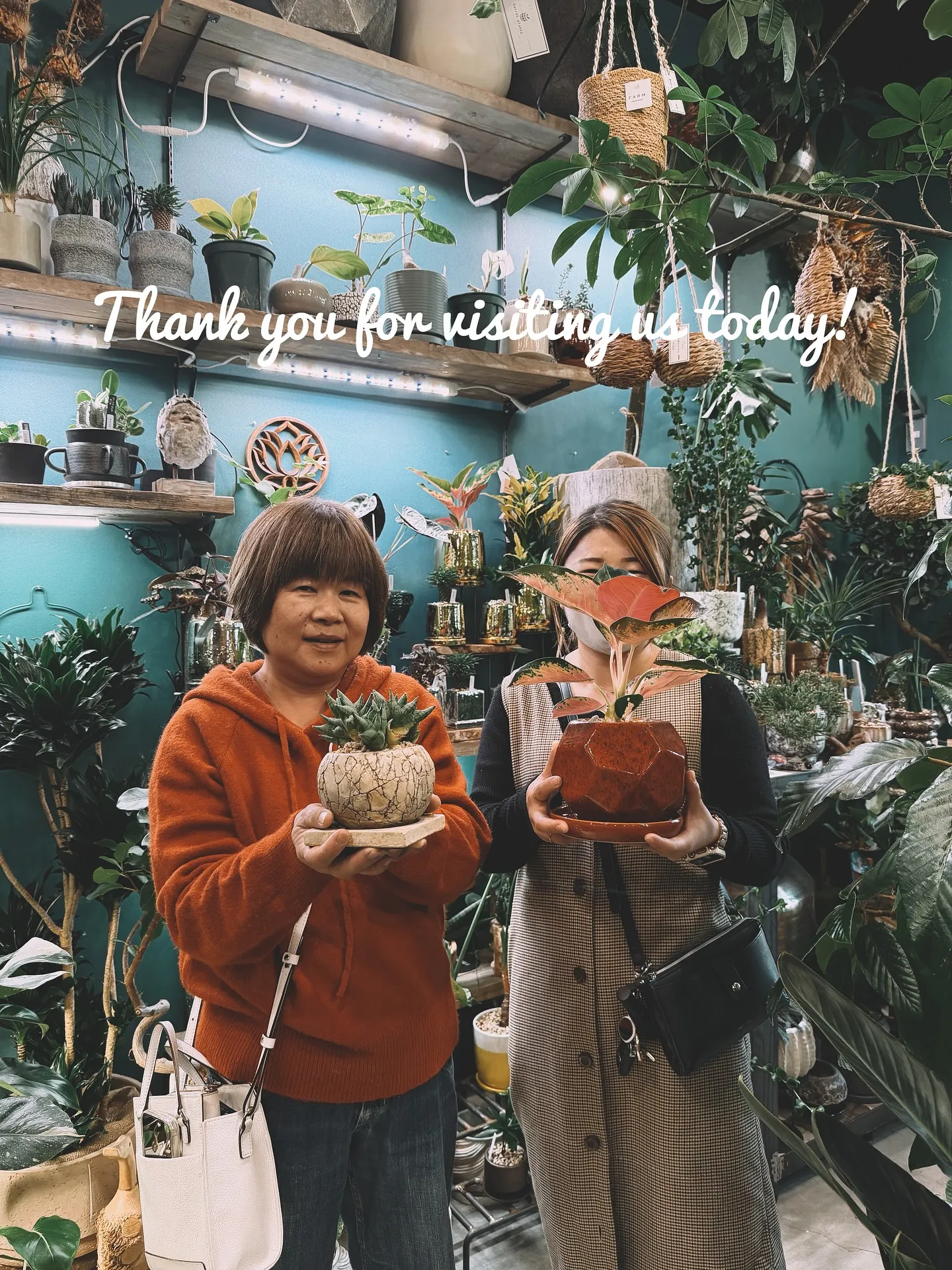 【仕入れた植物たちをすこーしご紹介♪植物専門店barrelp...