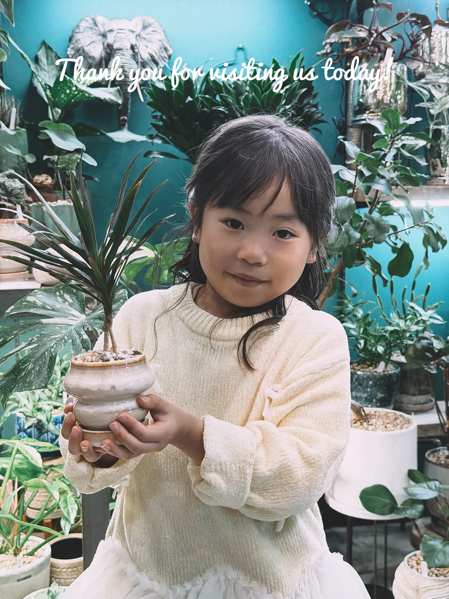 【仕入れた植物たちをすこーしご紹介♪植物専門店barrelp...