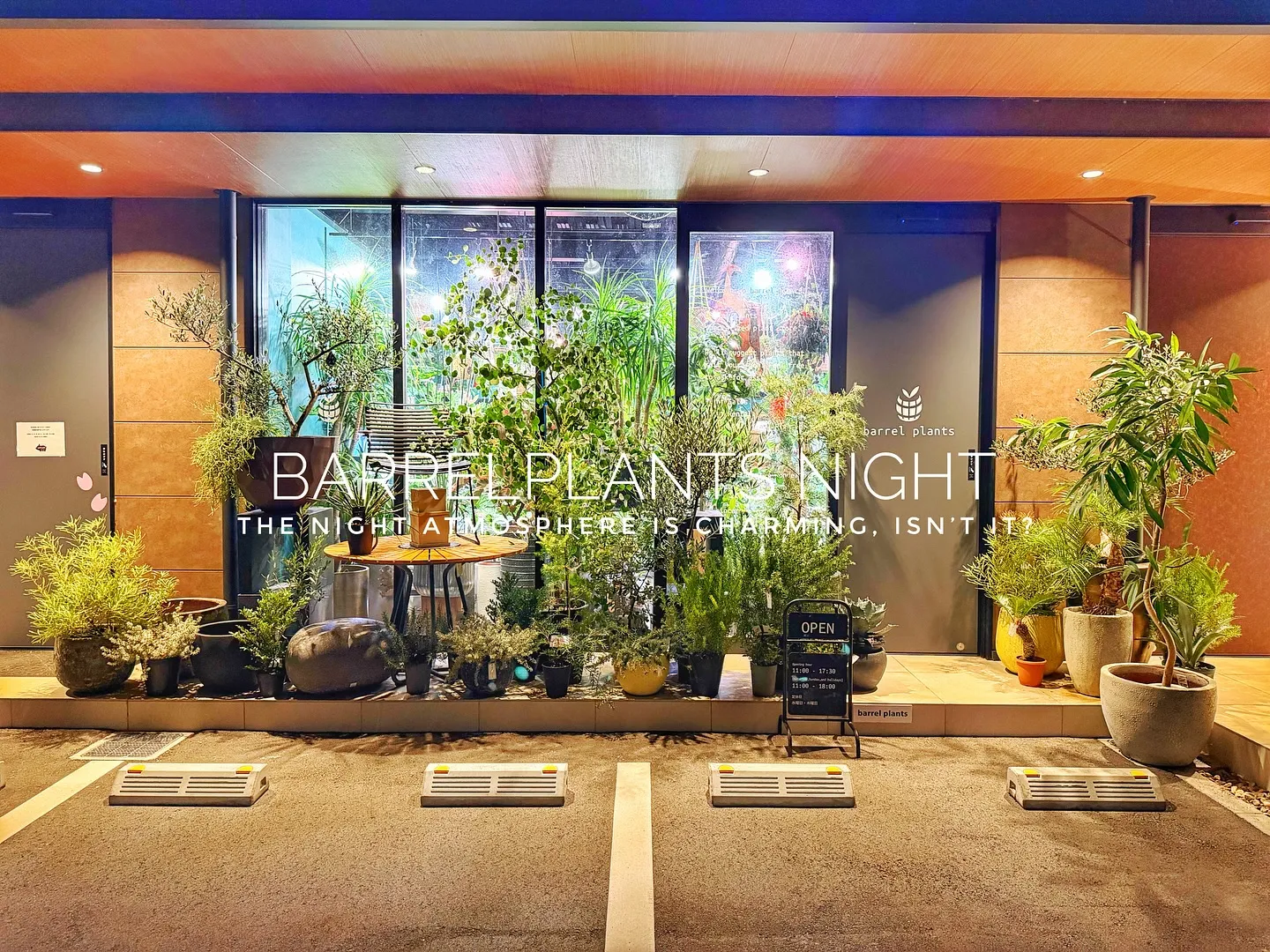 【夜の雰囲気も良い感じ♪外木の中低木入荷してます😊】