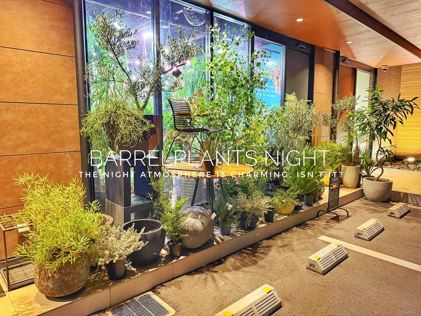 【夜の雰囲気も良い感じ♪外木の中低木入荷してます😊】