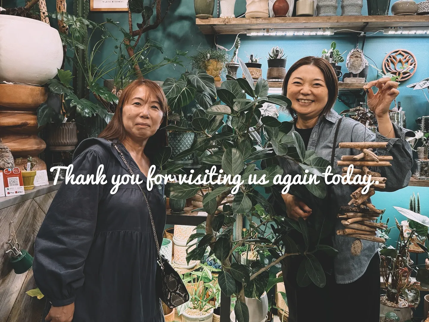 【夜の雰囲気も良い感じ♪外木の中低木入荷してます😊】