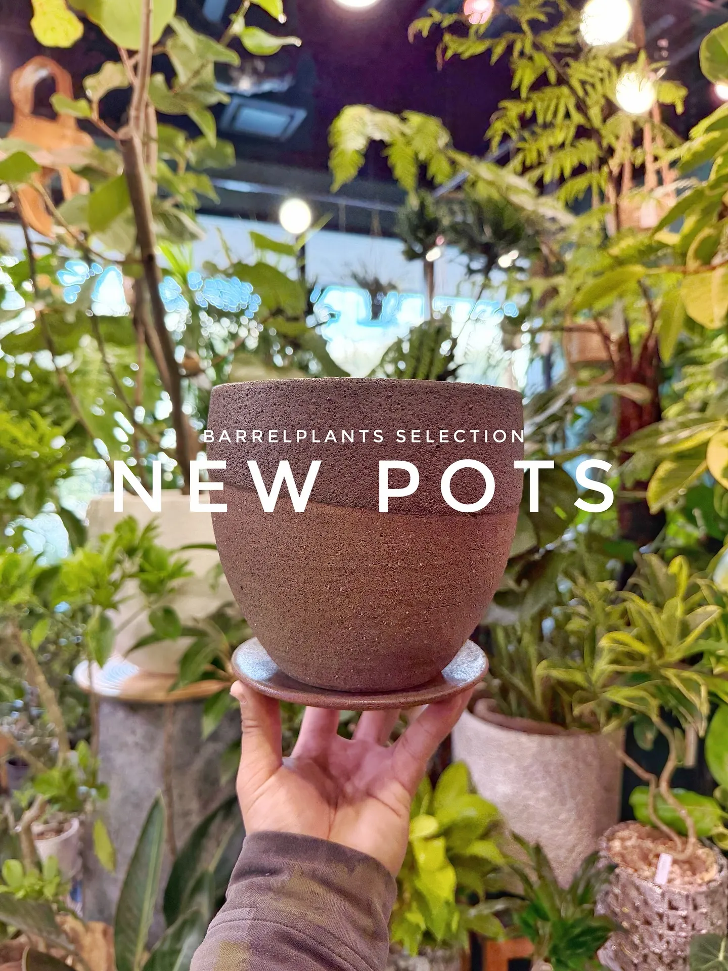 【植物専門店barrelplantsのセレクトする新作鉢入荷...
