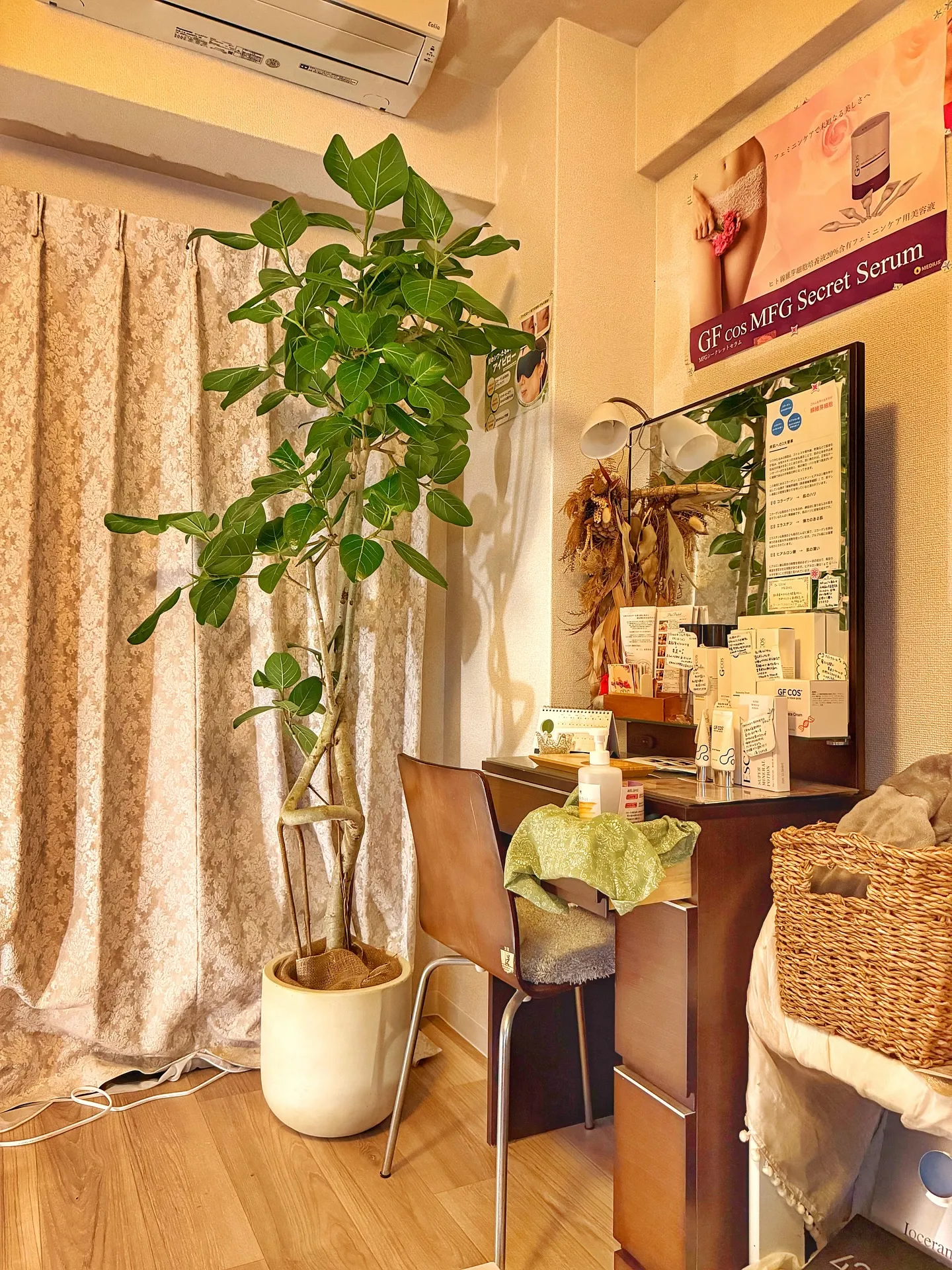 【植物専門店barrelplantsのセレクトする新作鉢入荷...