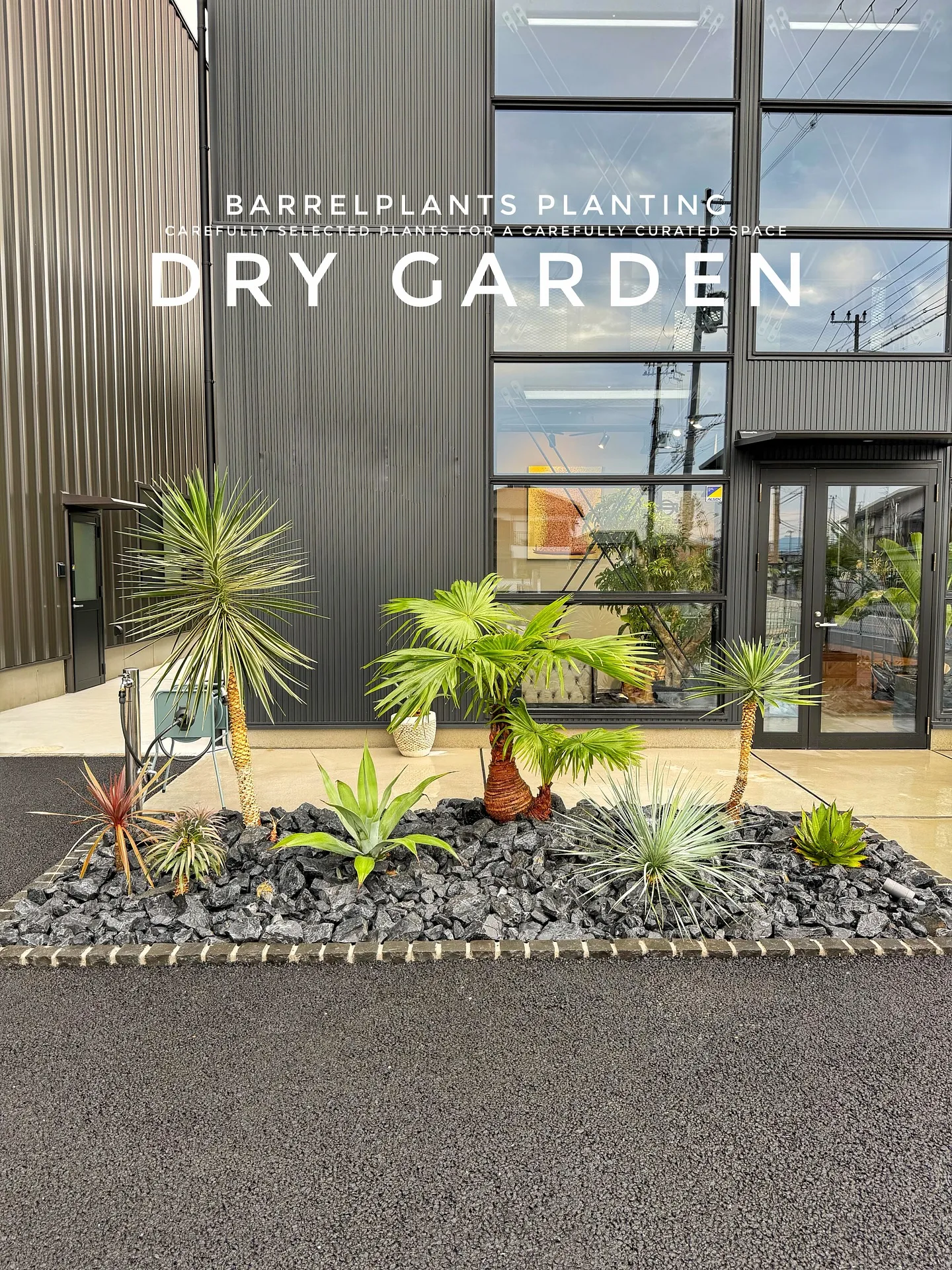 【八丈島産のシェフレラを、こだわりの鉄サビ鉢に。