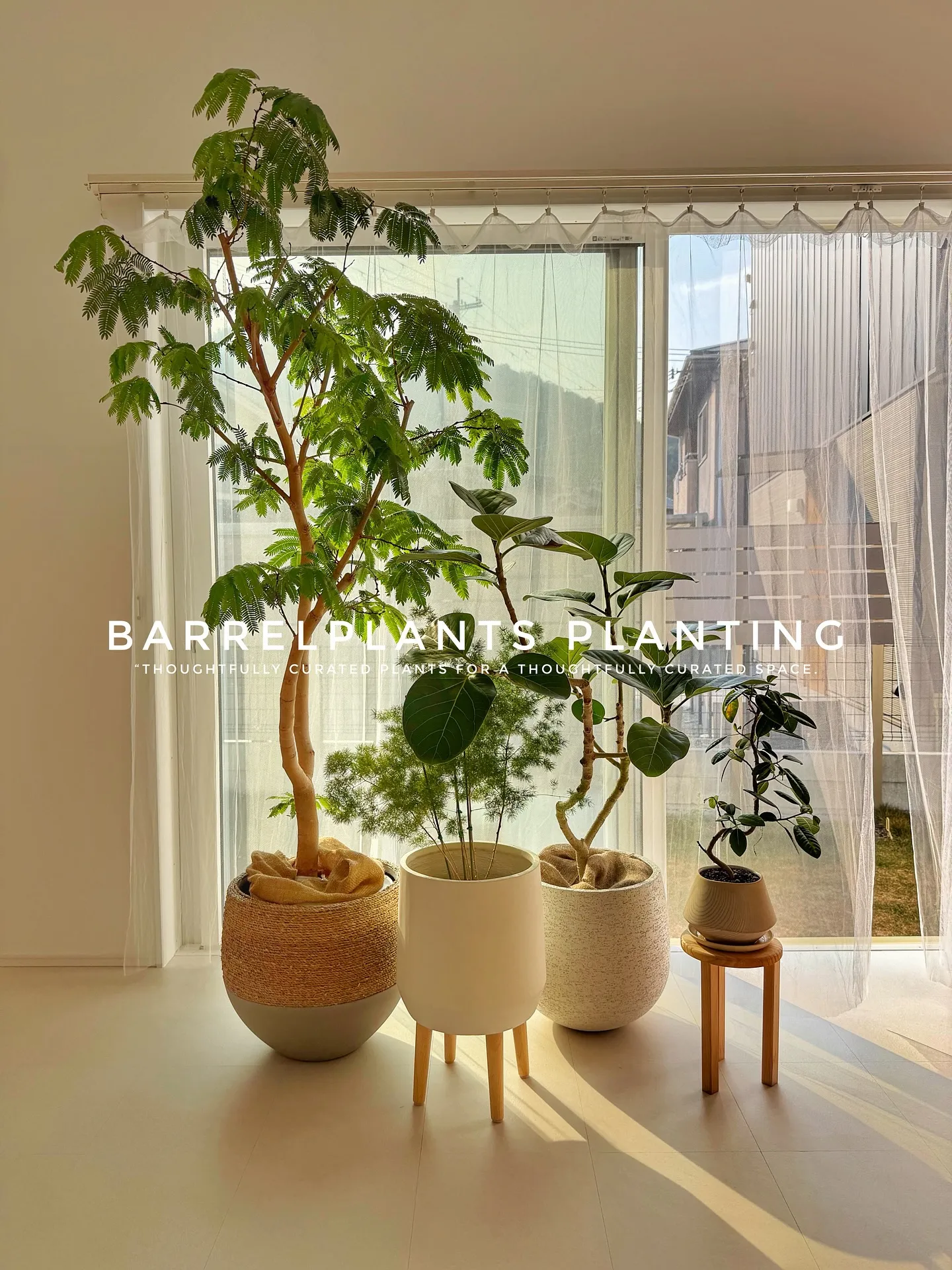 【空間をつくる植物。