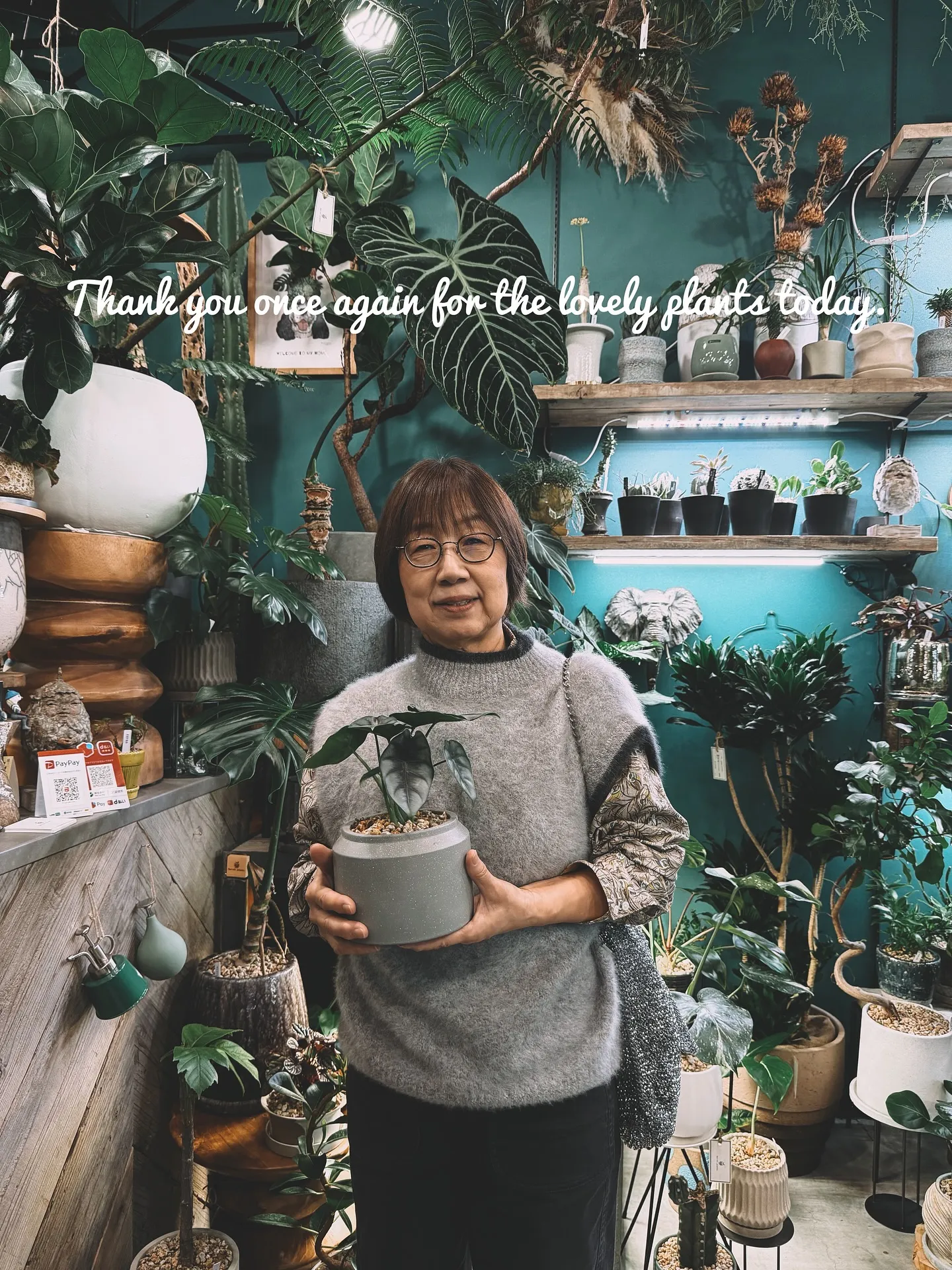 【空間をつくる植物。