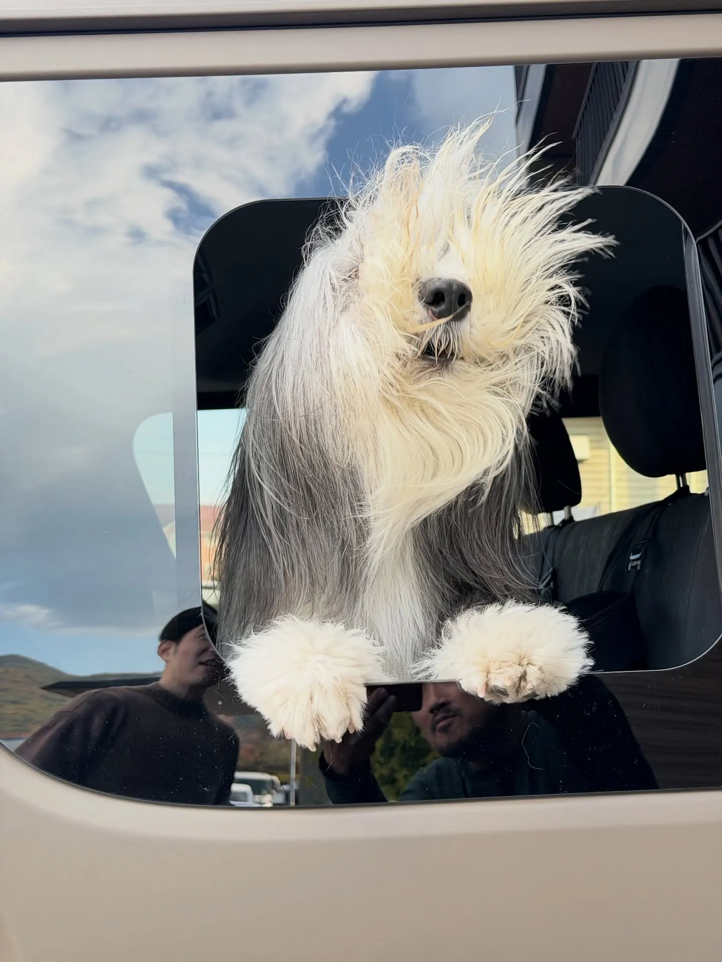 【空間をつくる植物。
