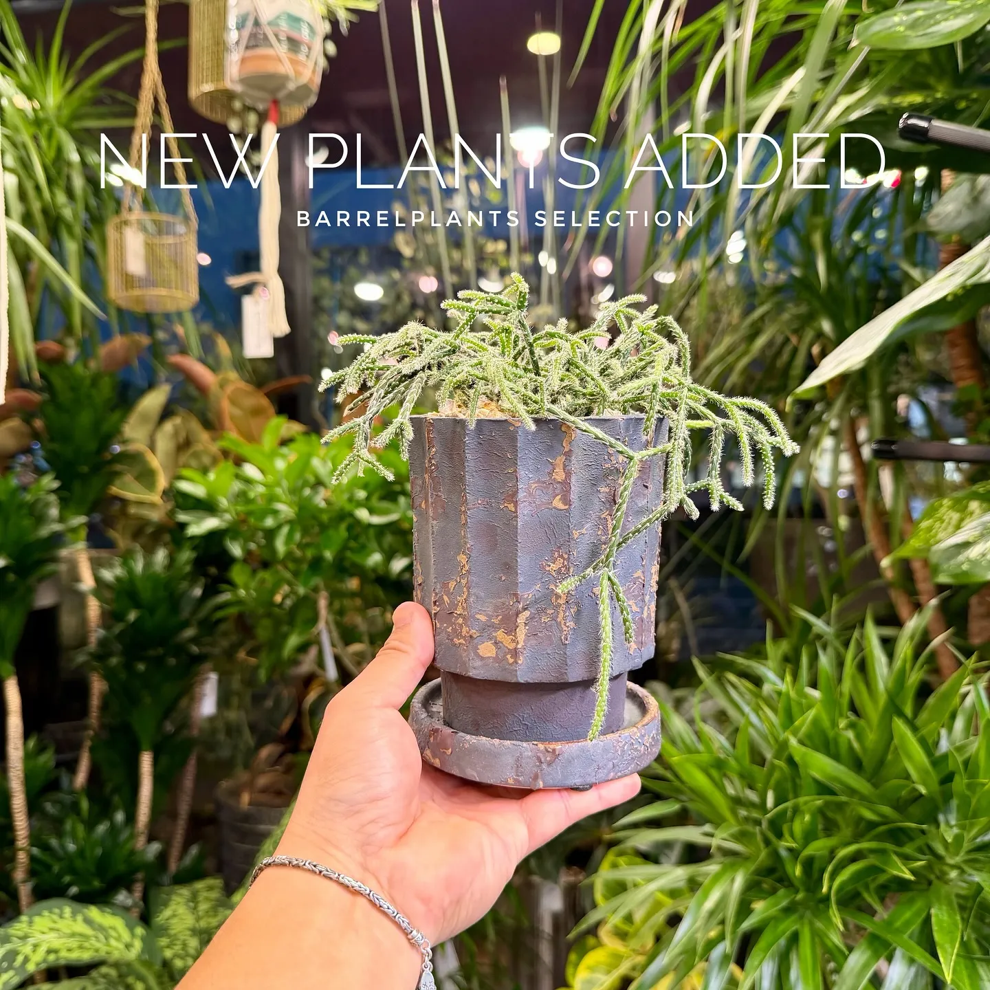 【ベイスショップに新アイテム追加のご案内、barrelpla...