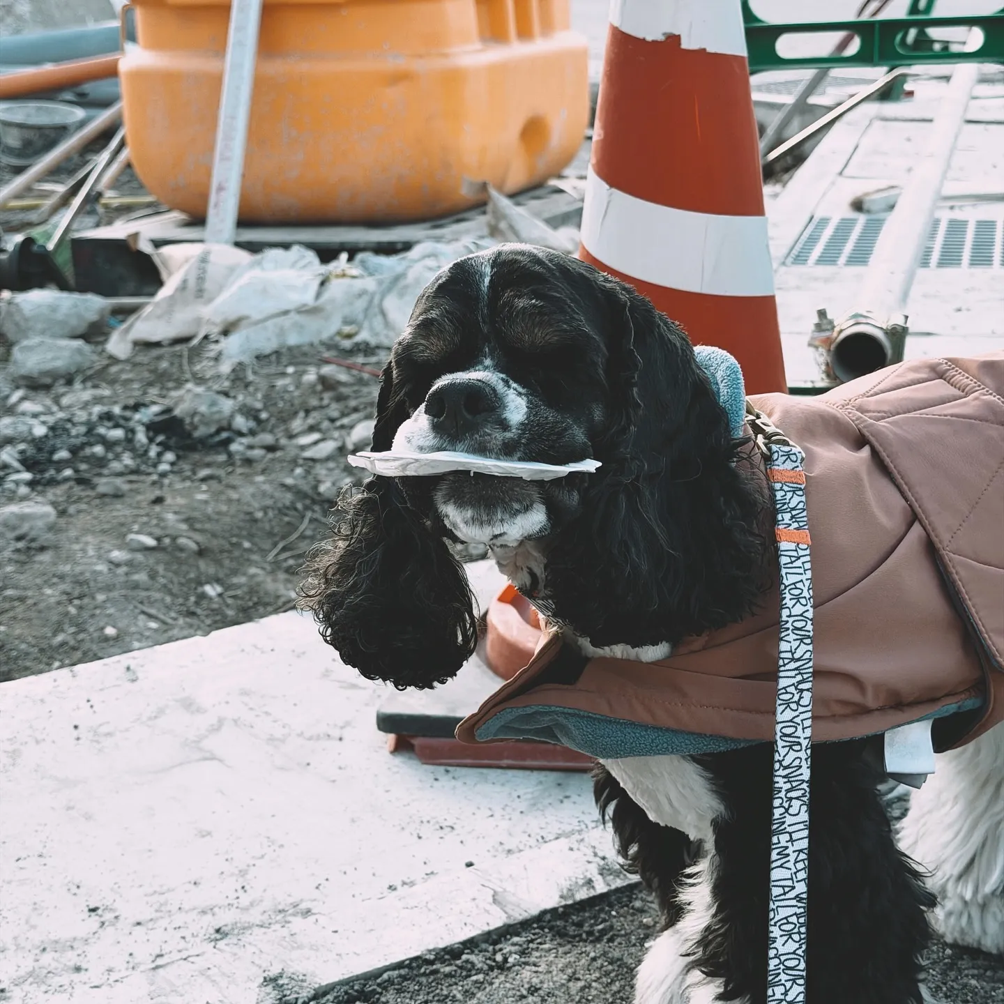 【ベイスショップに新アイテム追加のご案内、barrelpla...