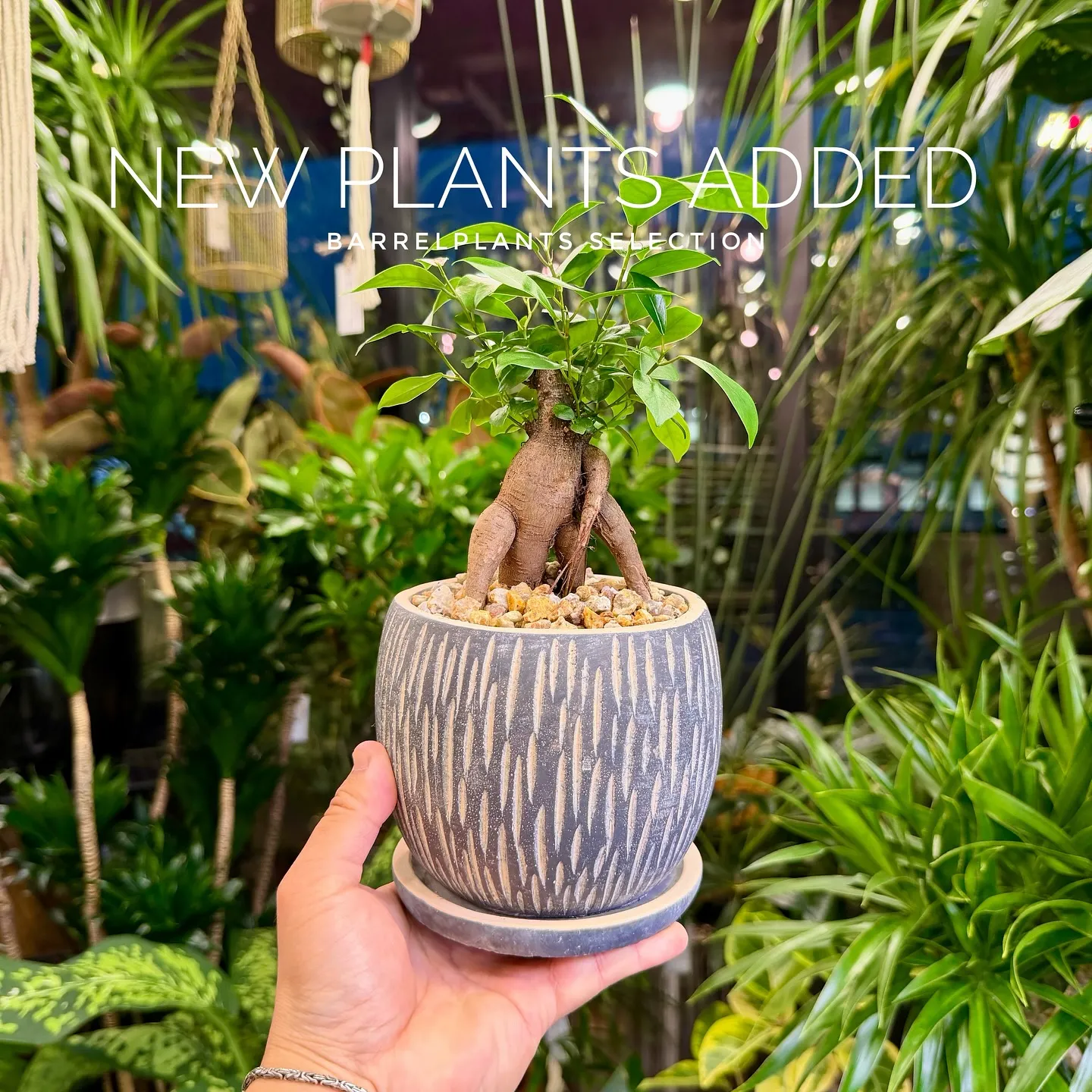 【ベイスショップに新アイテム追加のご案内、barrelpla...