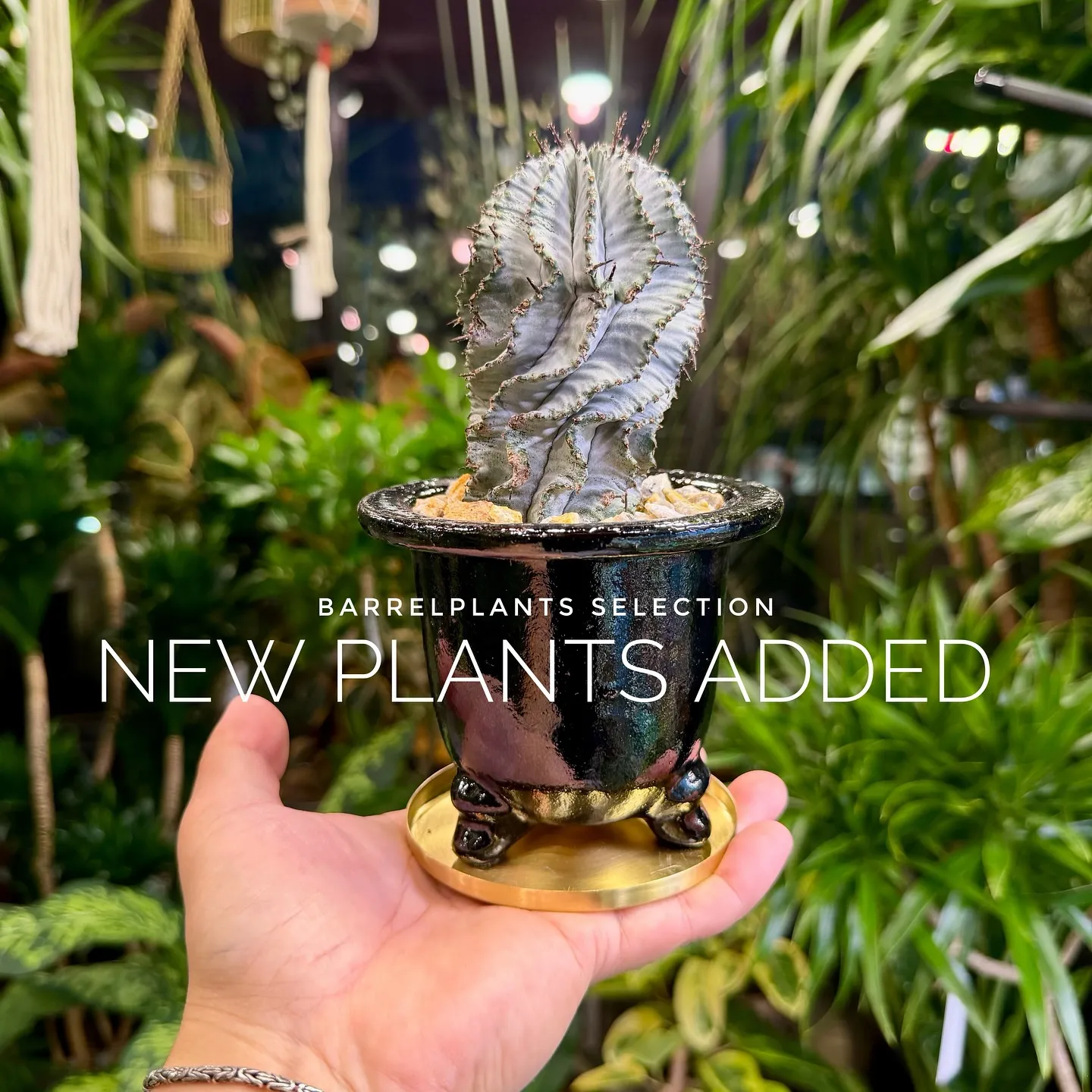 【ベイスショップに新アイテム追加のご案内、barrelpla...