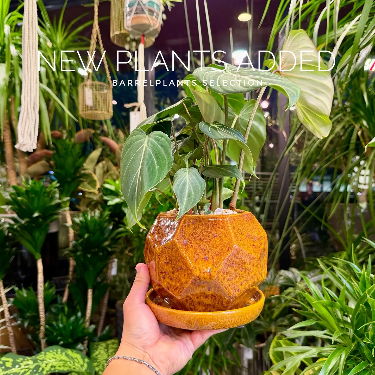 【ベイスショップに新アイテム追加のご案内、barrelpla...