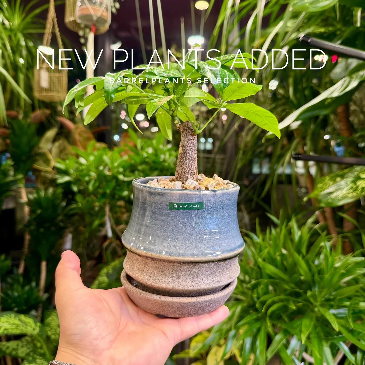 【ベイスショップに新アイテム追加のご案内、barrelpla...