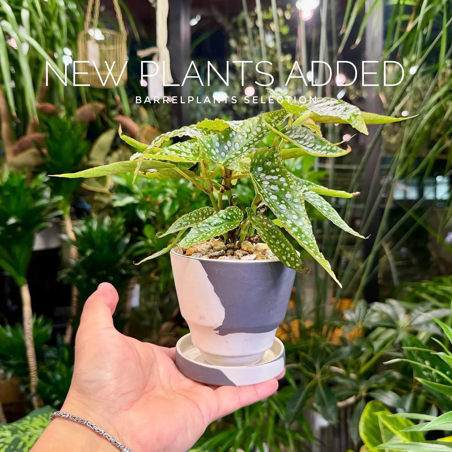 【ベイスショップに新アイテム追加のご案内、barrelpla...