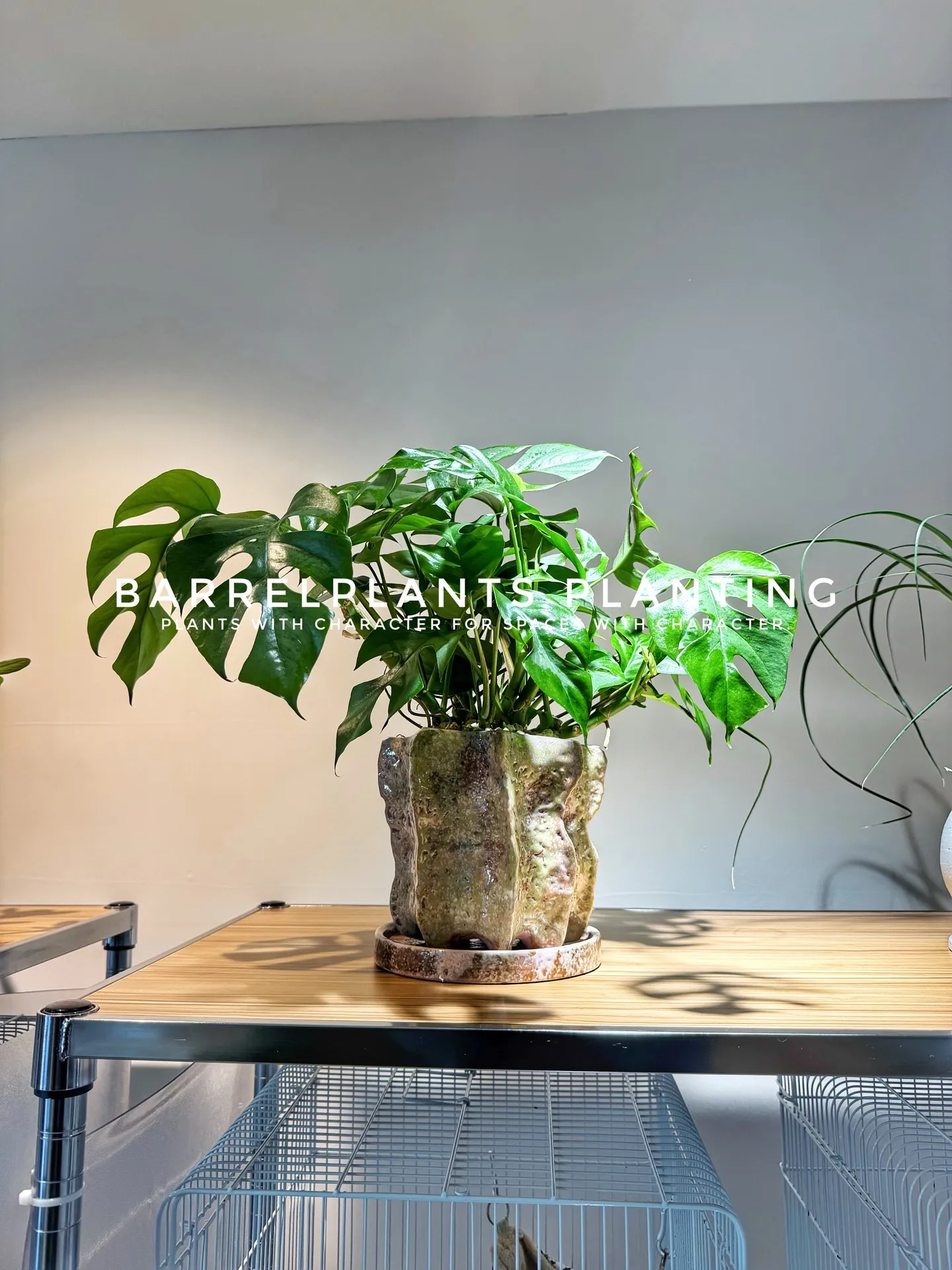 サロンオーナー様の理想を植物でカタチにしました♡