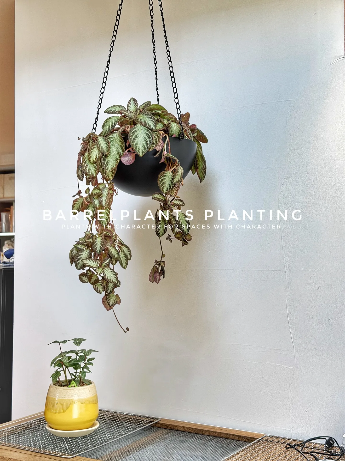 サロンオーナー様の理想を植物でカタチにしました♡