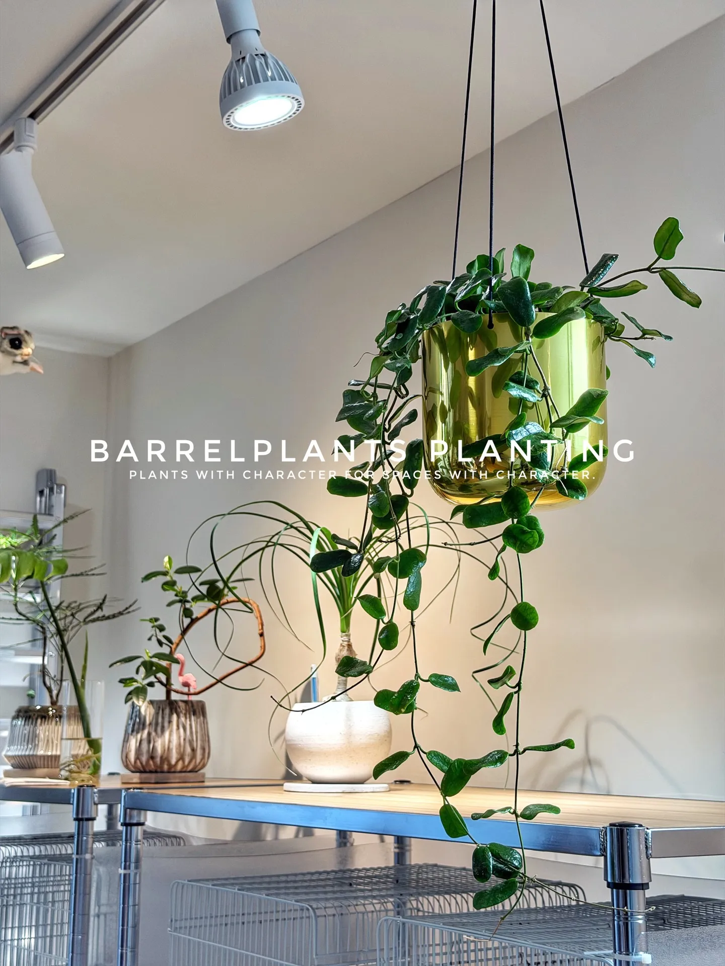 サロンオーナー様の理想を植物でカタチにしました♡