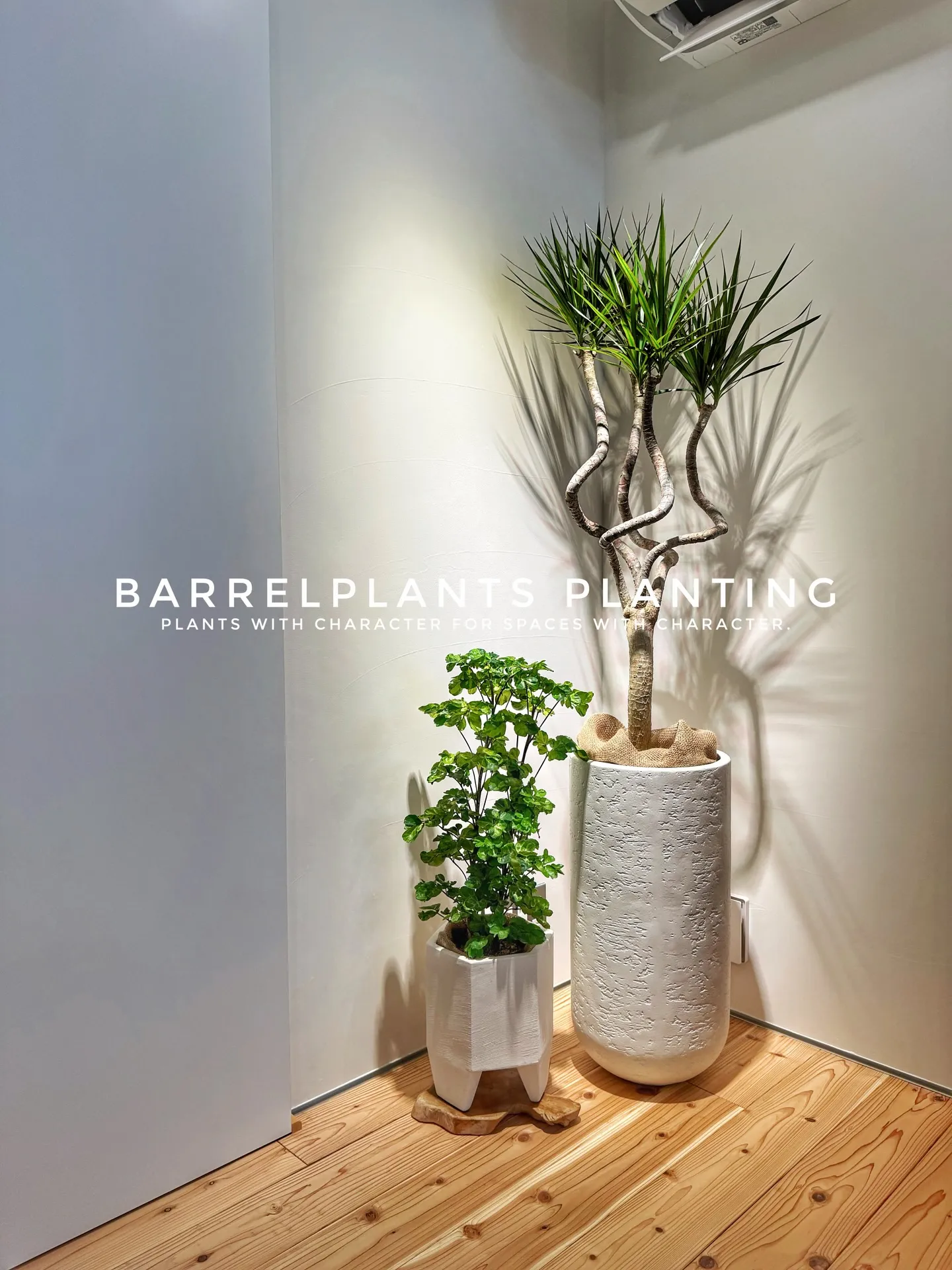 サロンオーナー様の理想を植物でカタチにしました♡