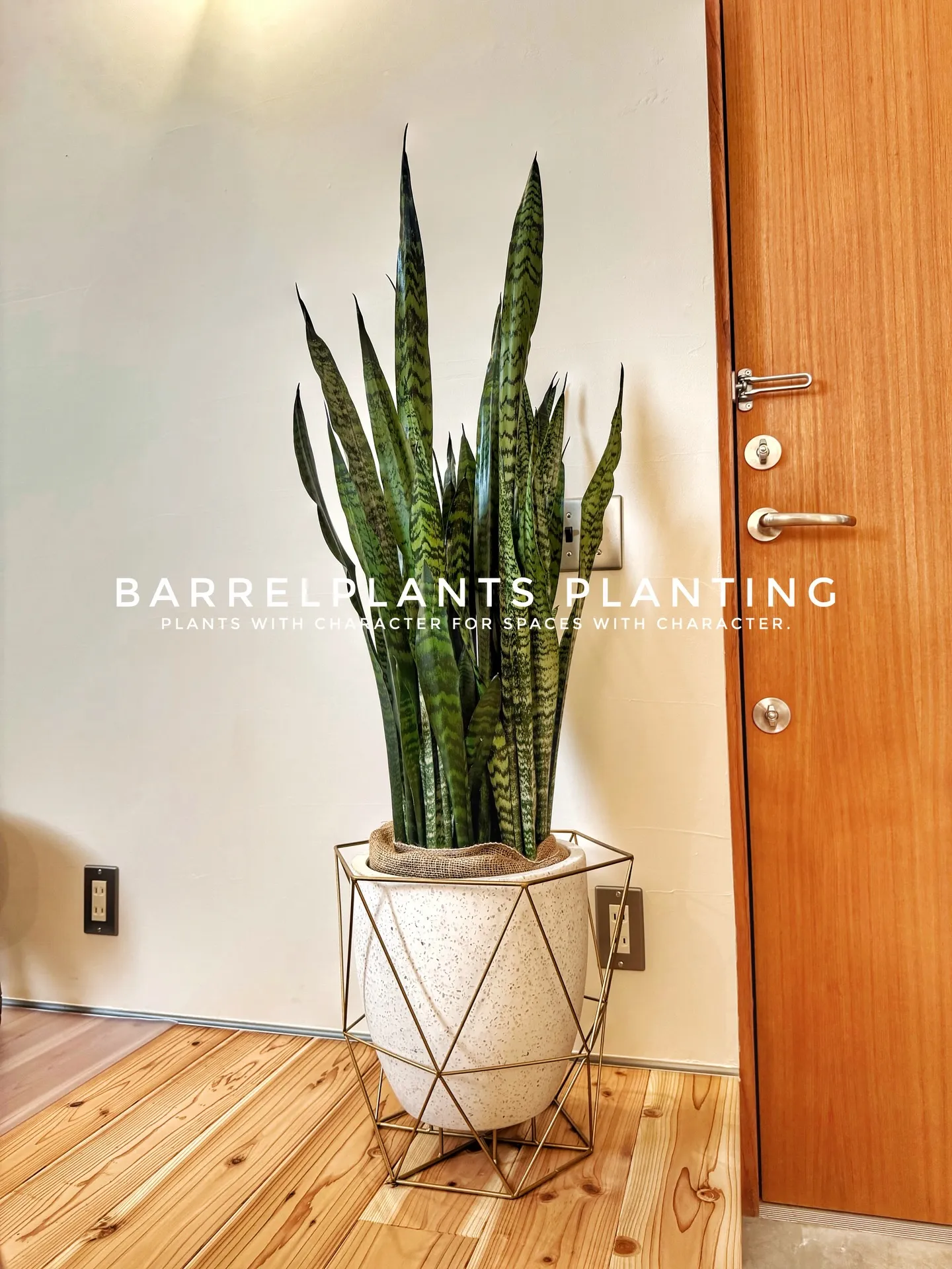 サロンオーナー様の理想を植物でカタチにしました♡