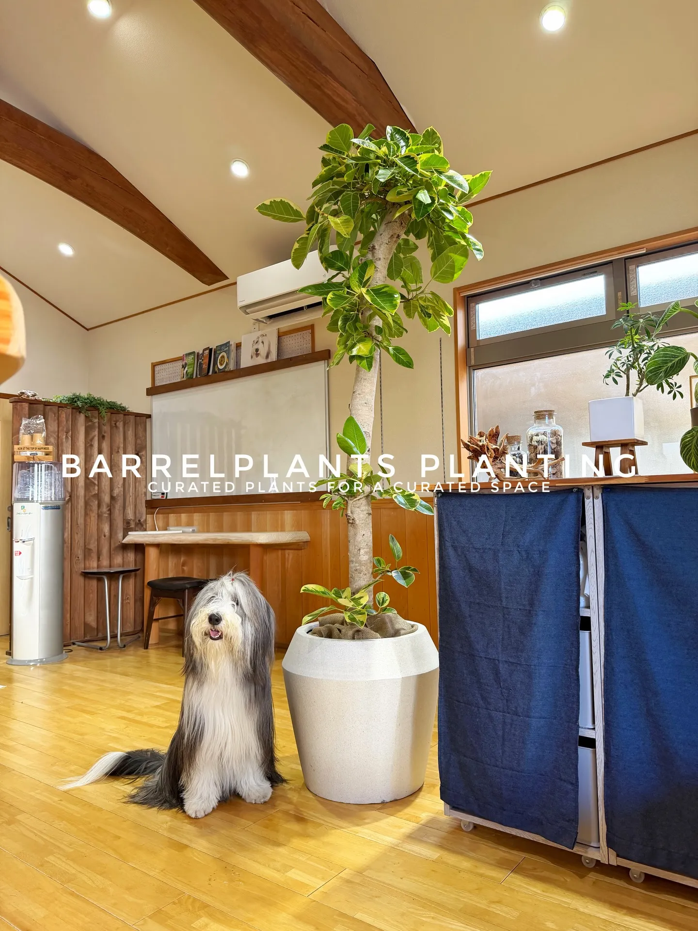 「お客様を迎える空間にグリーンの癒しを」