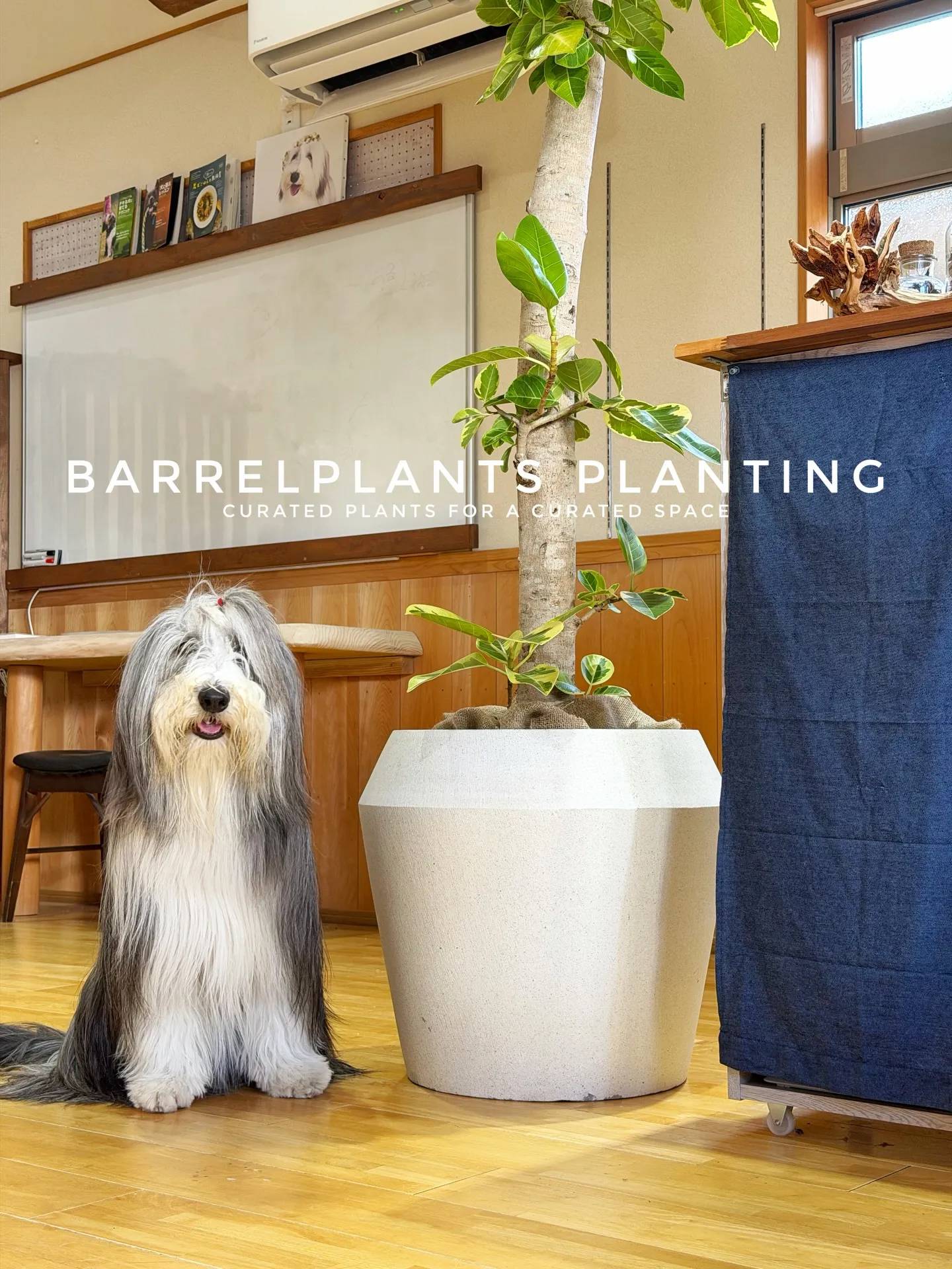 「お客様を迎える空間にグリーンの癒しを」