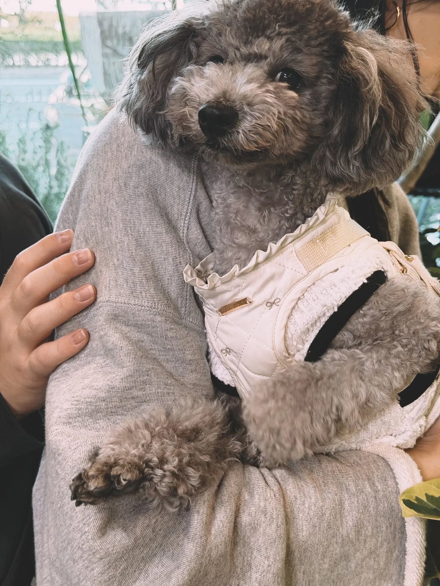 「お客様を迎える空間にグリーンの癒しを」