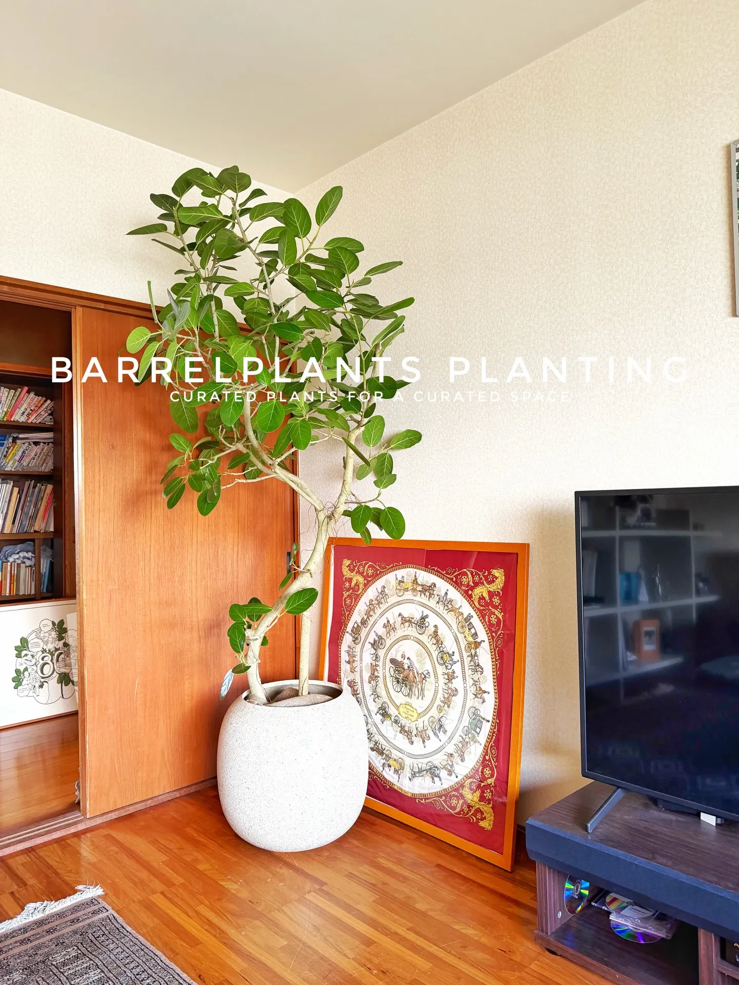 「お客様を迎える空間にグリーンの癒しを」