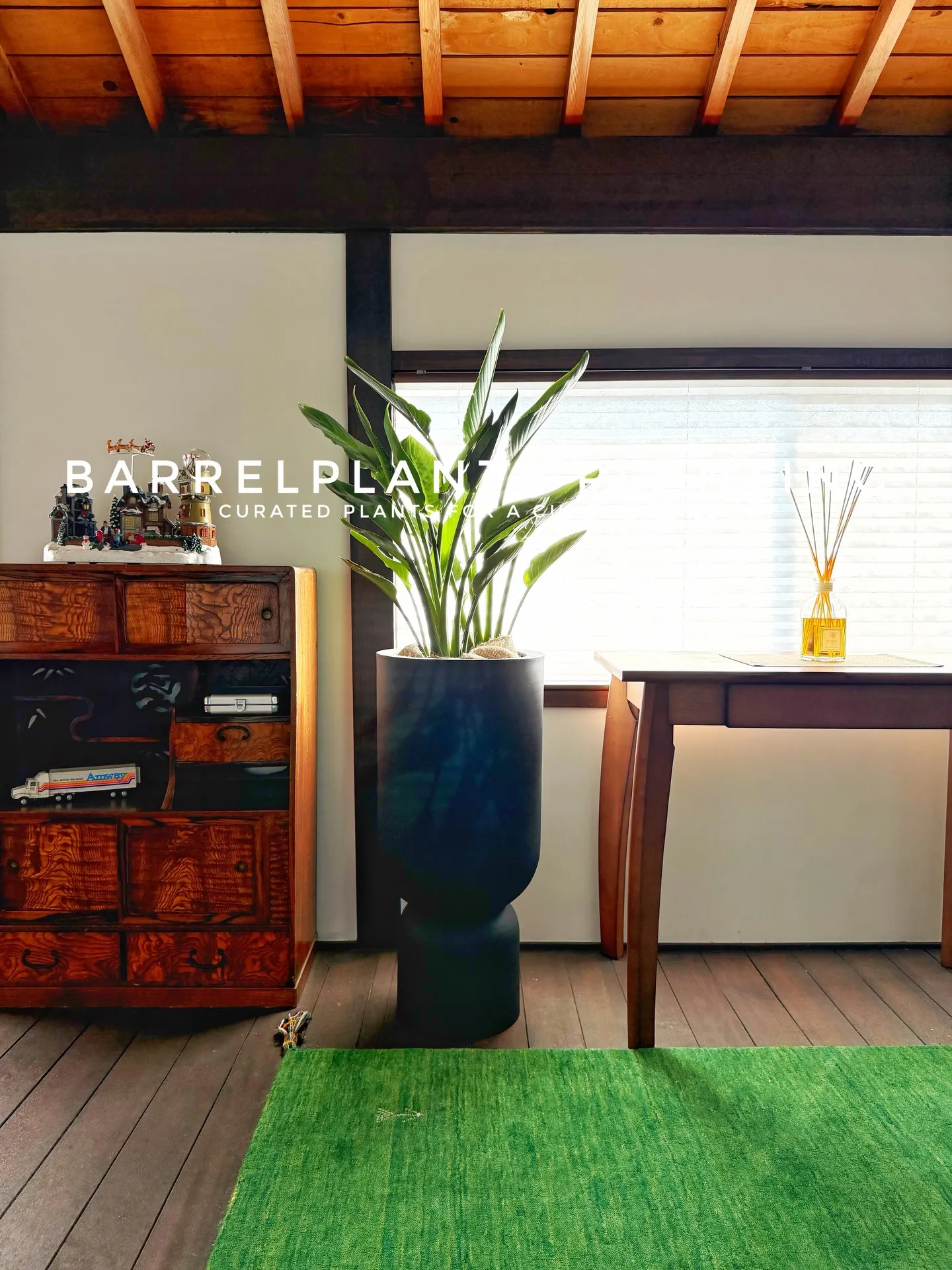 「お客様を迎える空間にグリーンの癒しを」