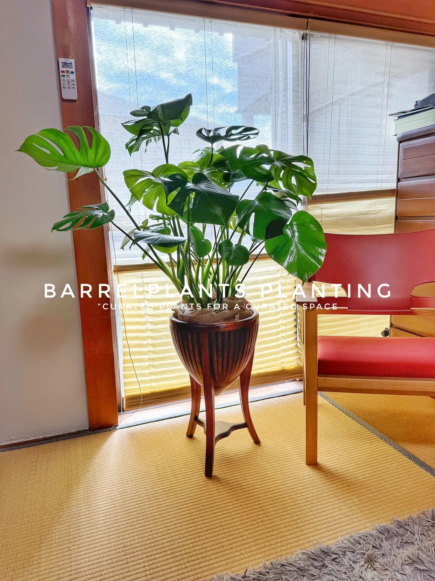 「お客様を迎える空間にグリーンの癒しを」