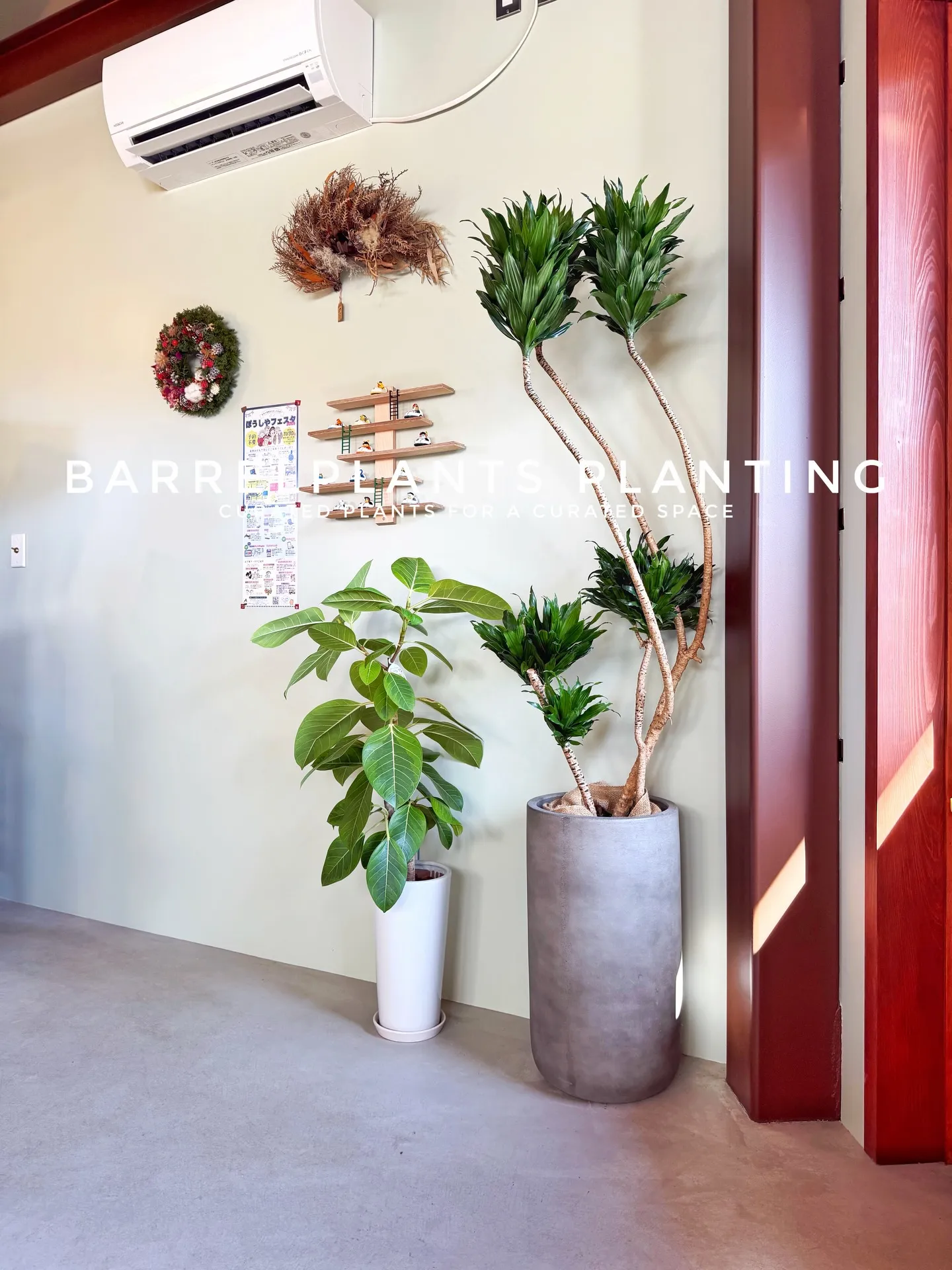 「お客様を迎える空間にグリーンの癒しを」