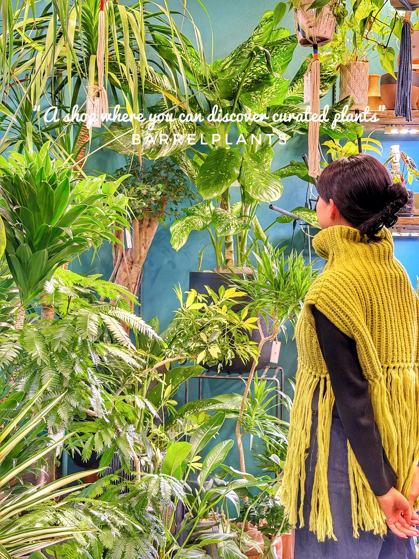 「こだわりの植物に出会える場所。