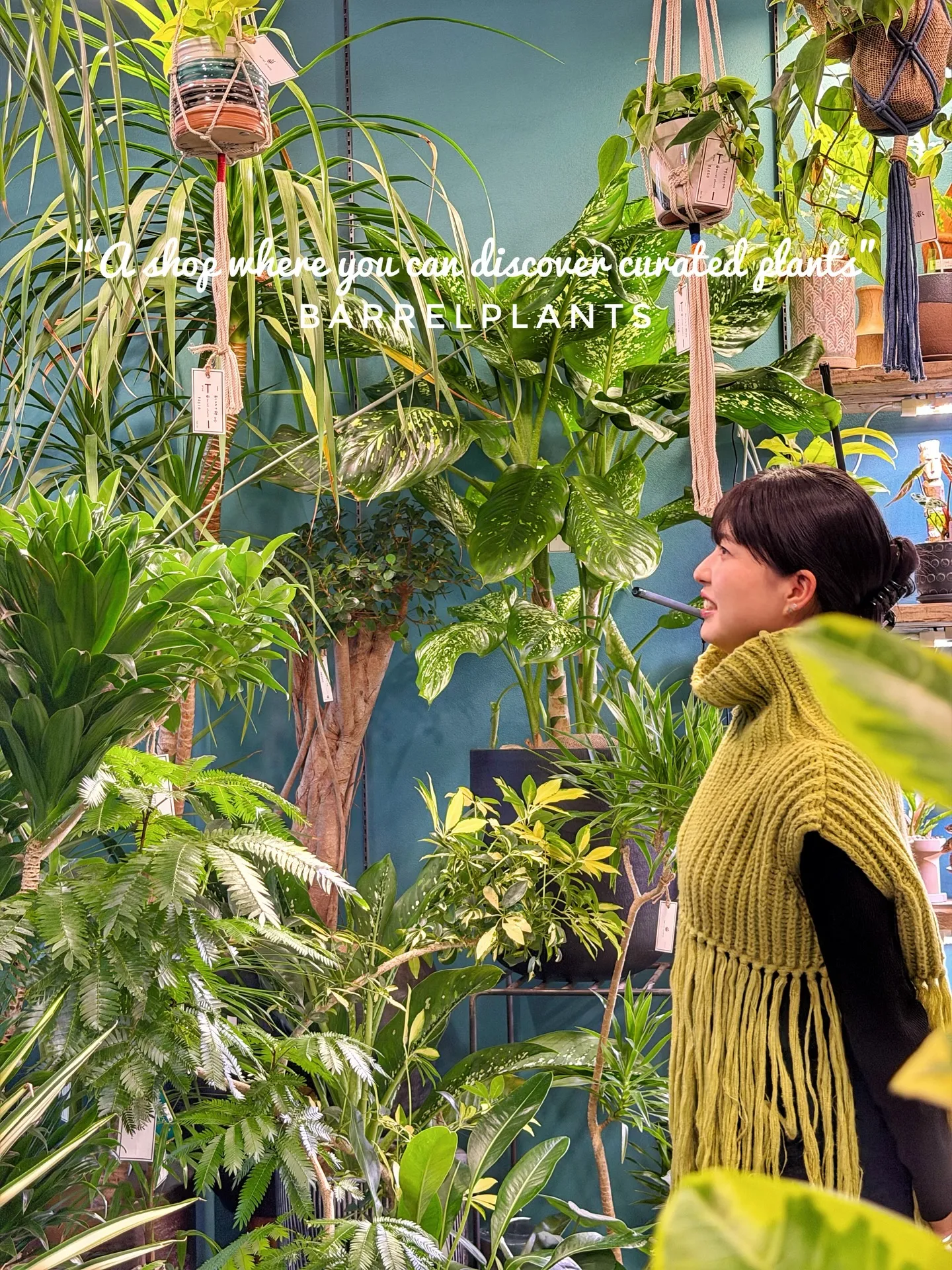 「こだわりの植物に出会える場所。