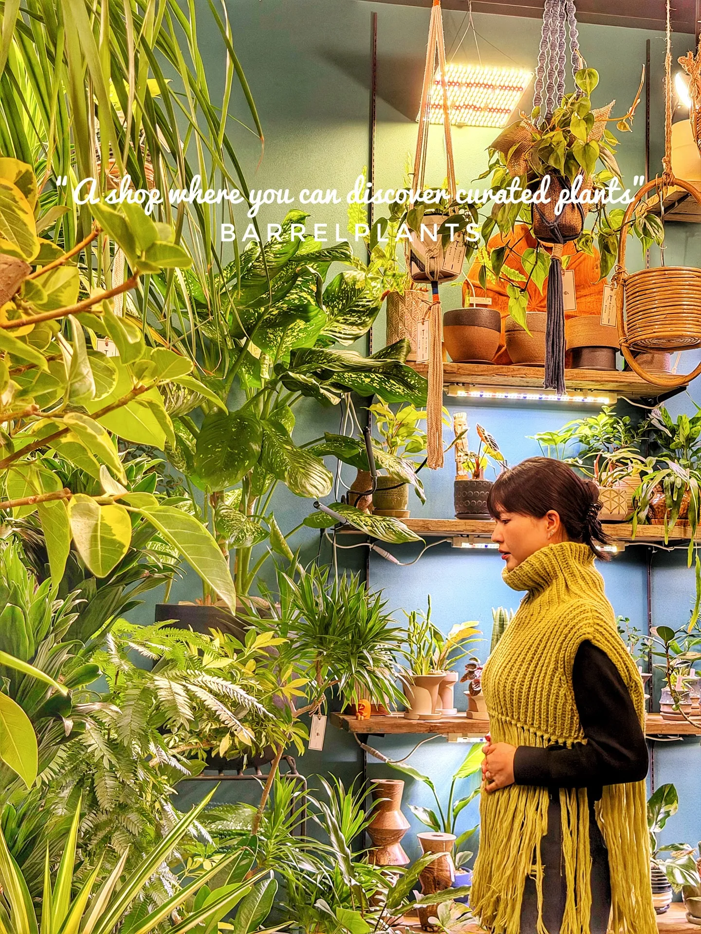 「こだわりの植物に出会える場所。