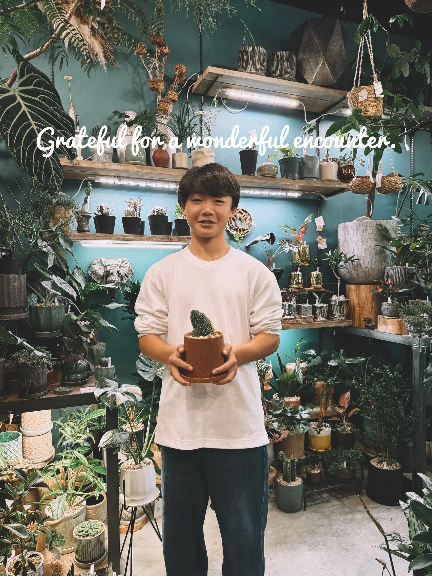 「こだわりの植物に出会える場所。