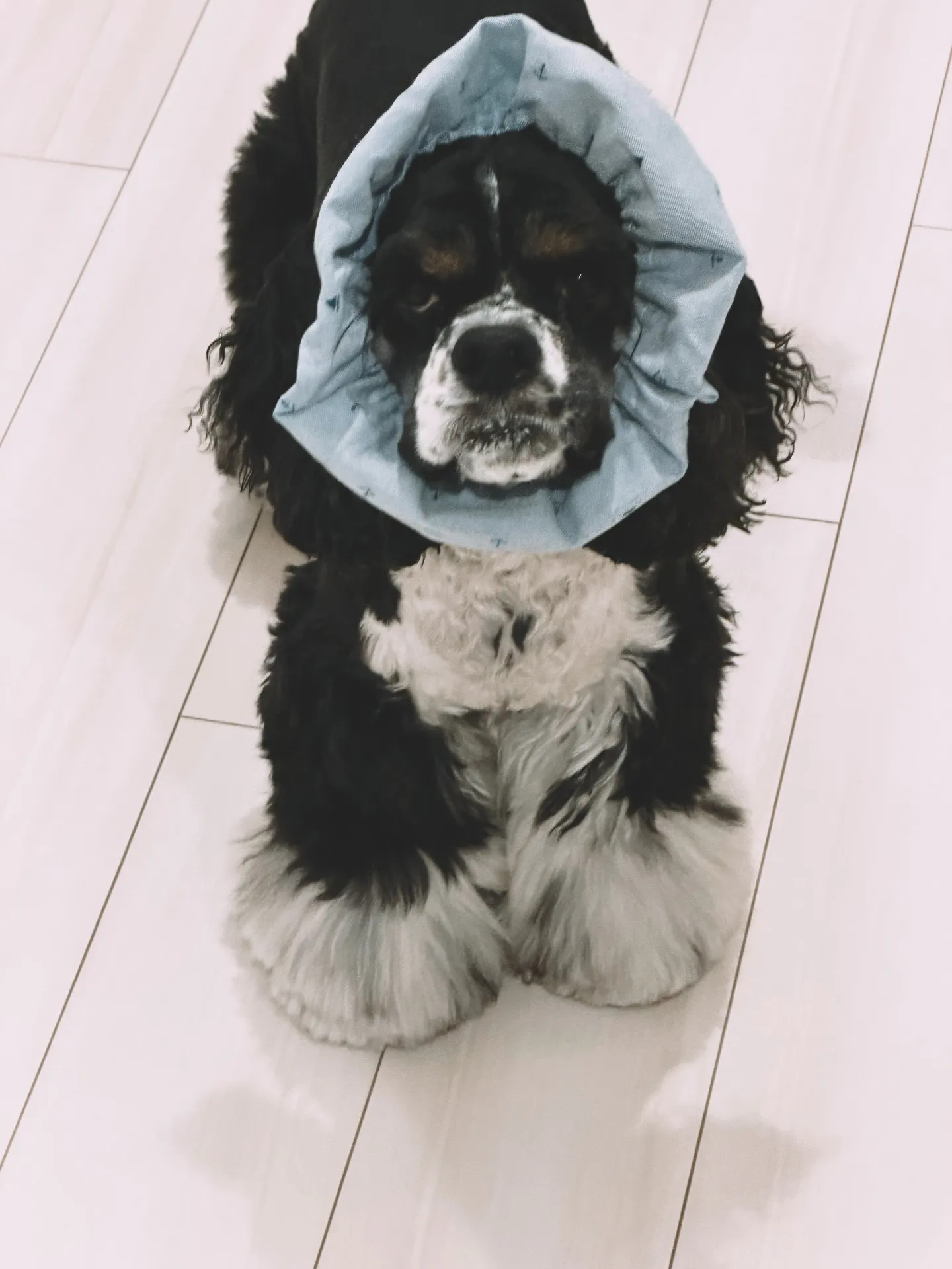 「こだわりの植物に出会える場所。