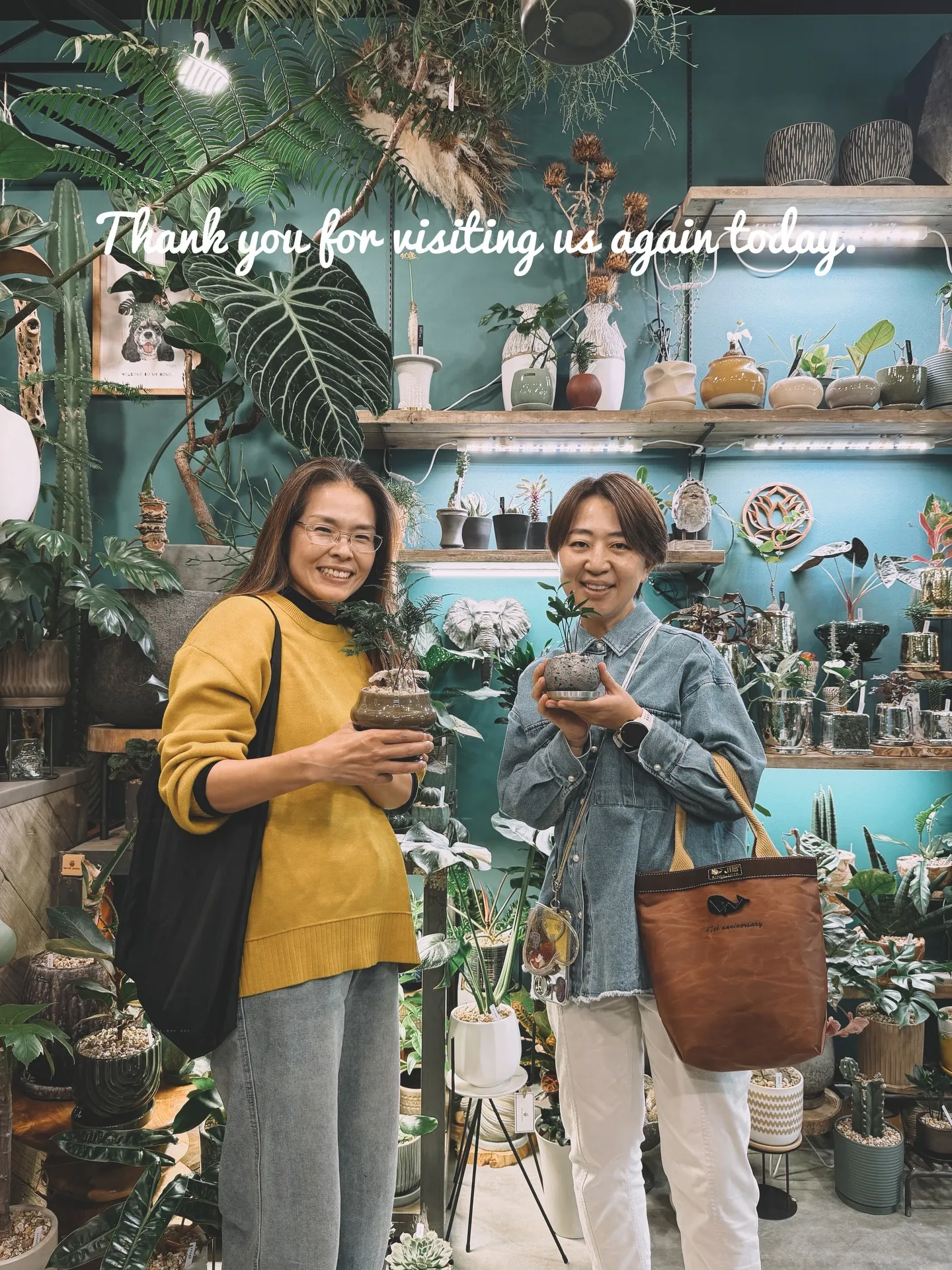 「こだわりの植物と、こだわりの鉢を。