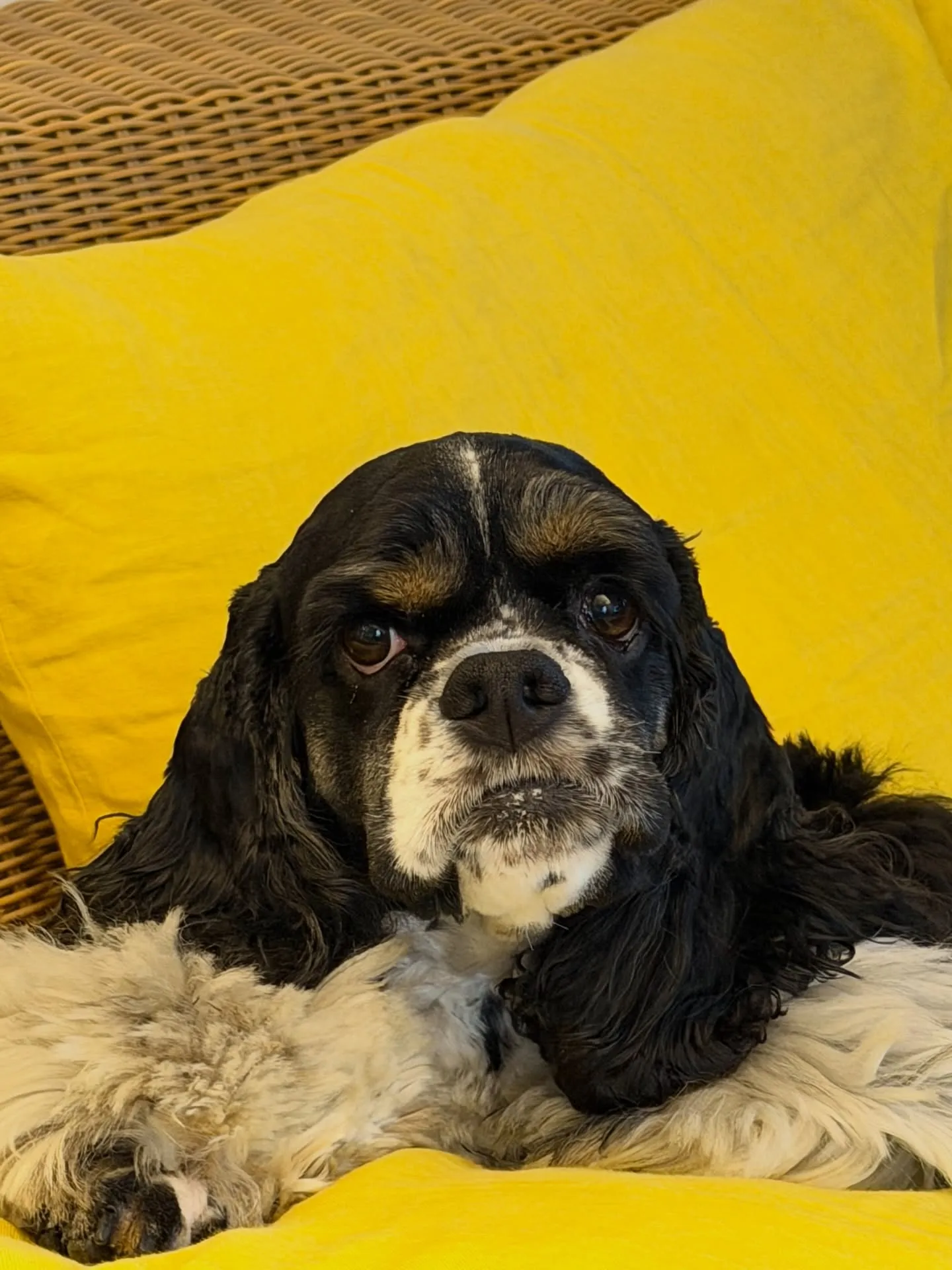 「こだわりの植物と、こだわりの鉢を。