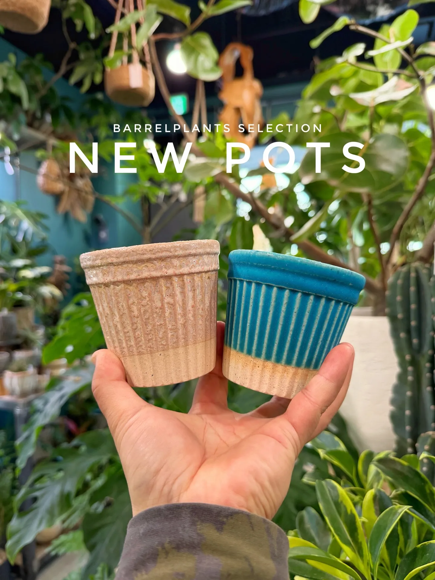 「こだわりの植物と、こだわりの鉢を。