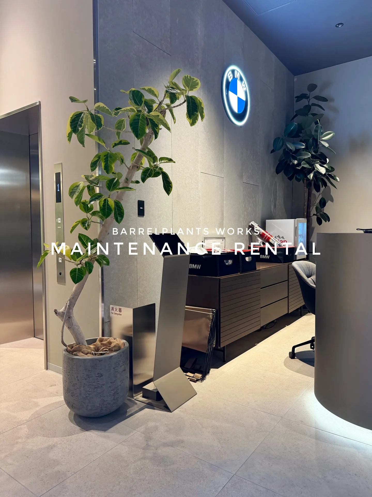 「空間価値を高める、BARRELPLANTS のメンテナンス...