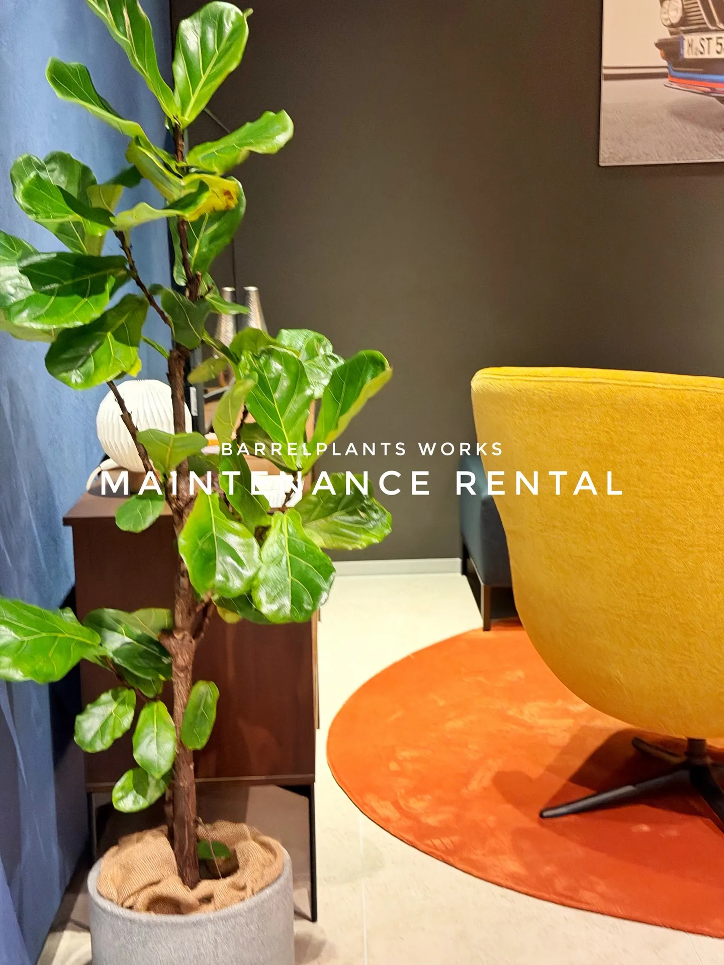「空間価値を高める、BARRELPLANTS のメンテナンス...