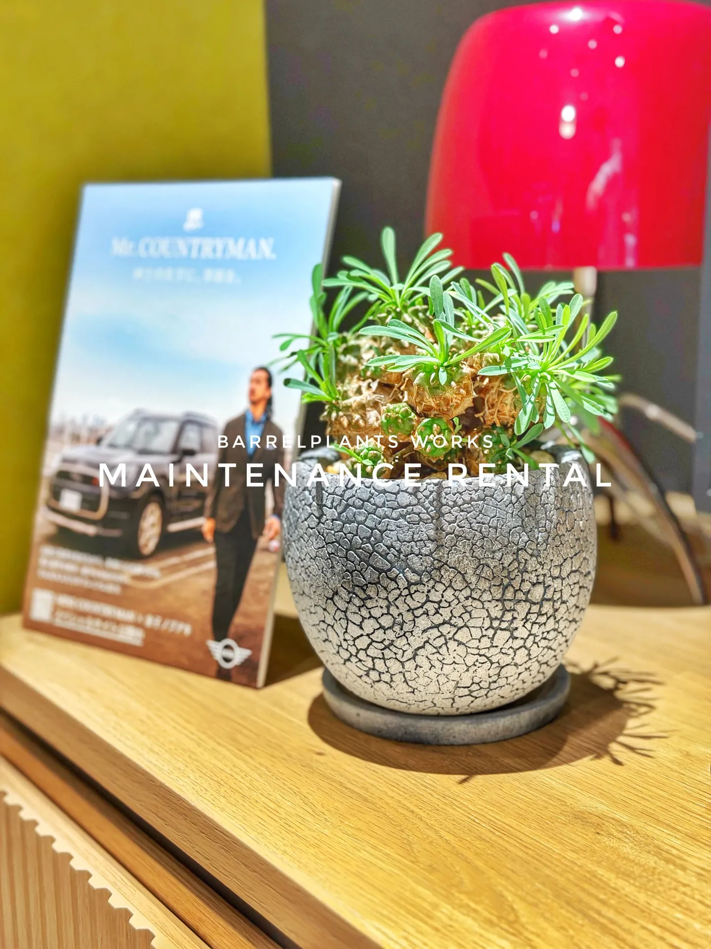 「空間価値を高める、BARRELPLANTS のメンテナンス...
