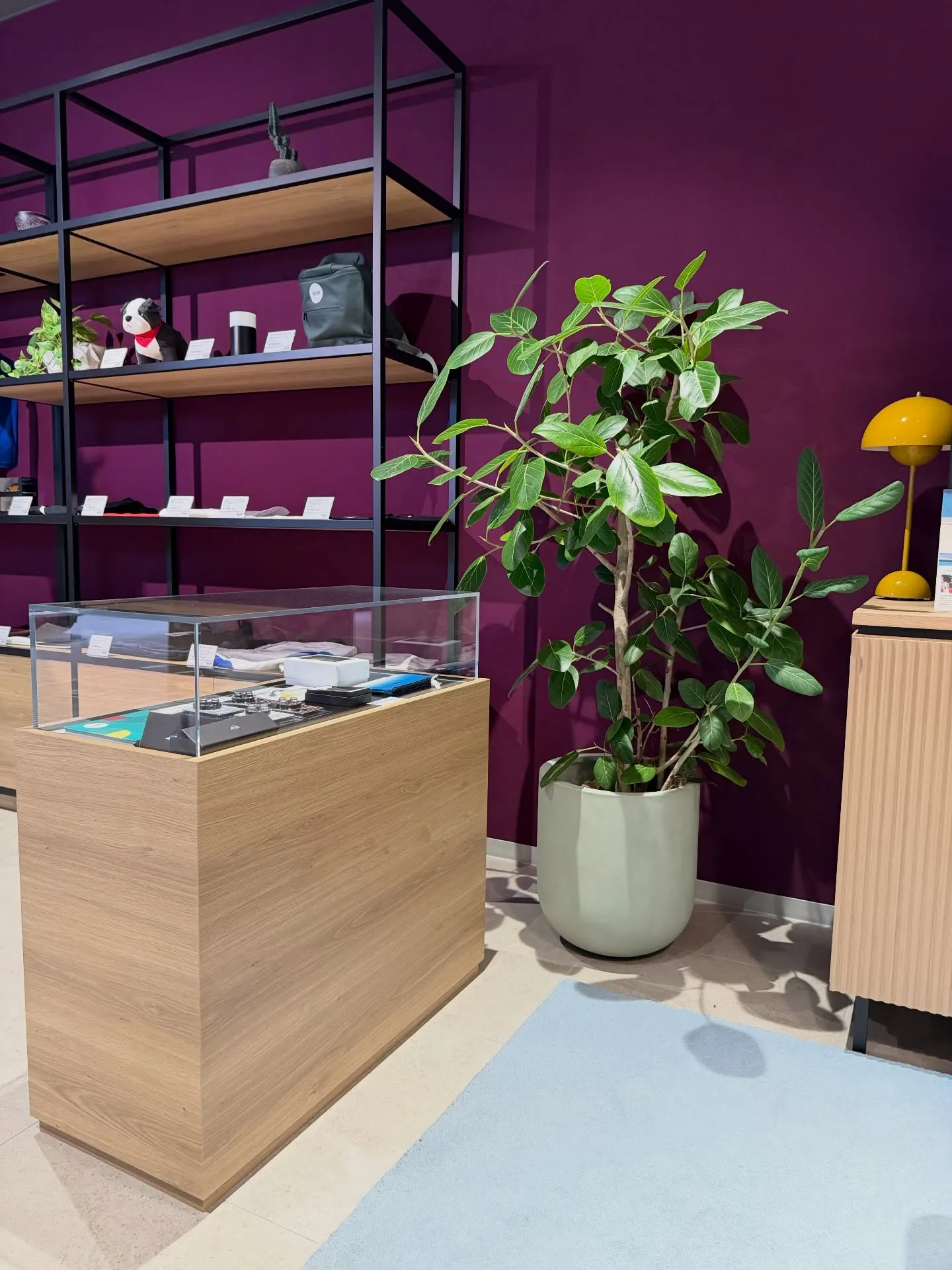 「空間価値を高める、BARRELPLANTS のメンテナンス...