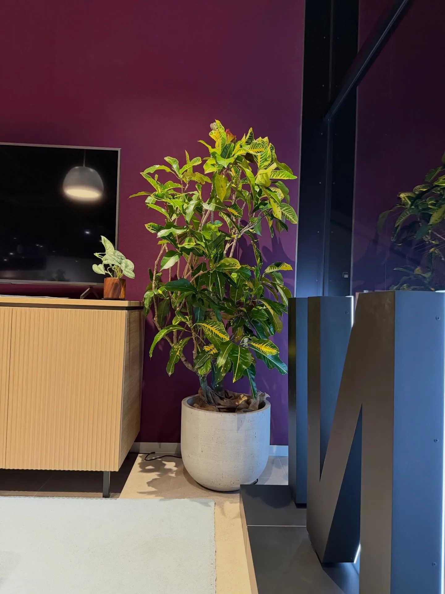 「空間価値を高める、BARRELPLANTS のメンテナンス...