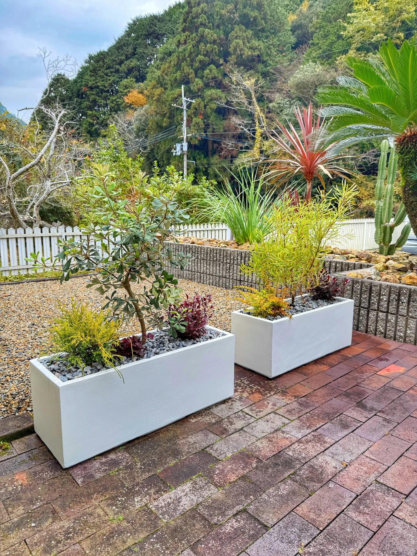 「空間価値を高める、BARRELPLANTS のメンテナンス...